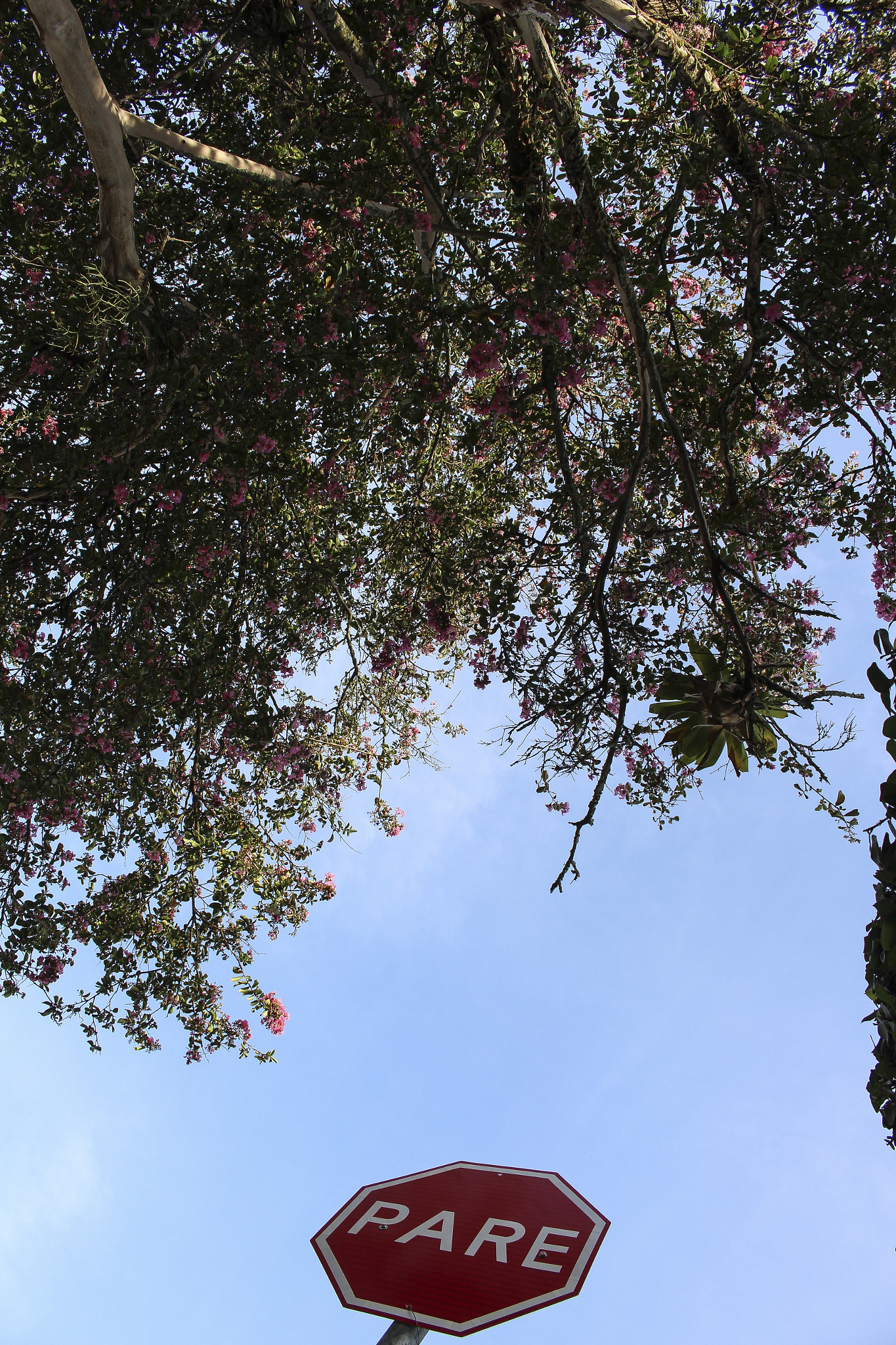 Canon EOS 1200D (EOS Rebel T5 / EOS Kiss X70 / EOS Hi) sample photo. Florpare photography