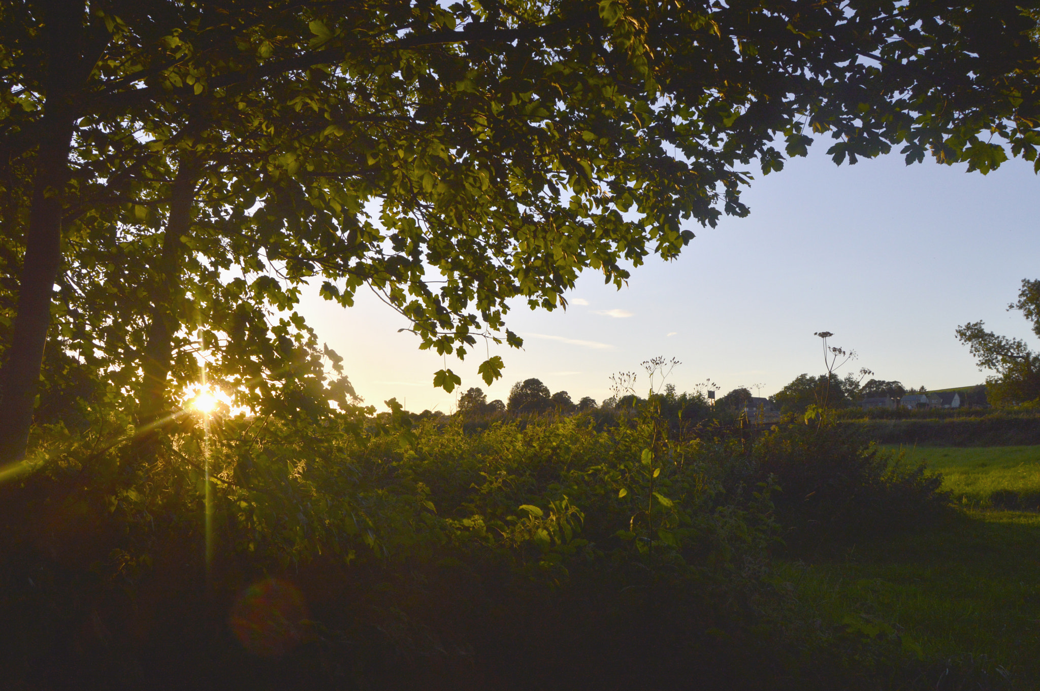 Nikon D3200 + AF Zoom-Nikkor 24-50mm f/3.3-4.5 sample photo. Breaking through photography