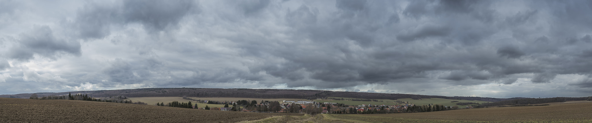 Sony a7R + Sony FE 50mm F1.8 sample photo. Pansfelde ii photography