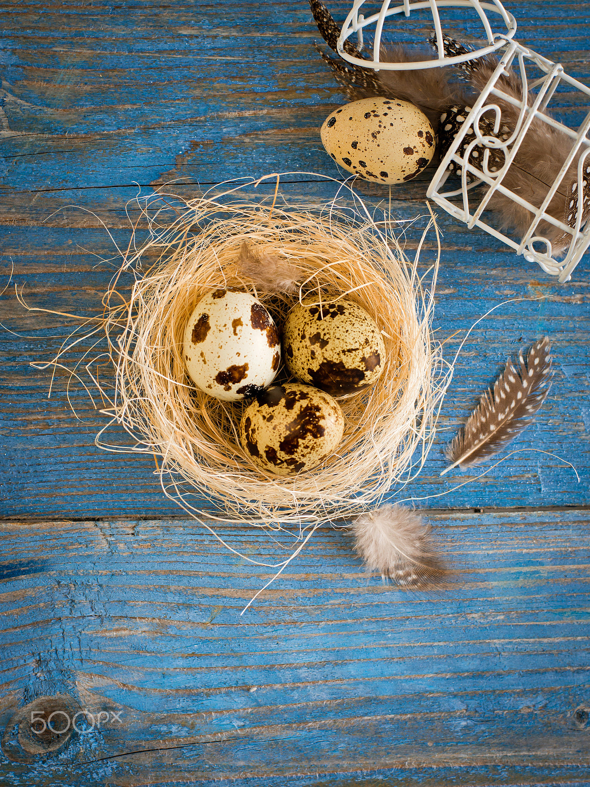 Nikon D800 sample photo. Quail eggs on a blue wooden background photography