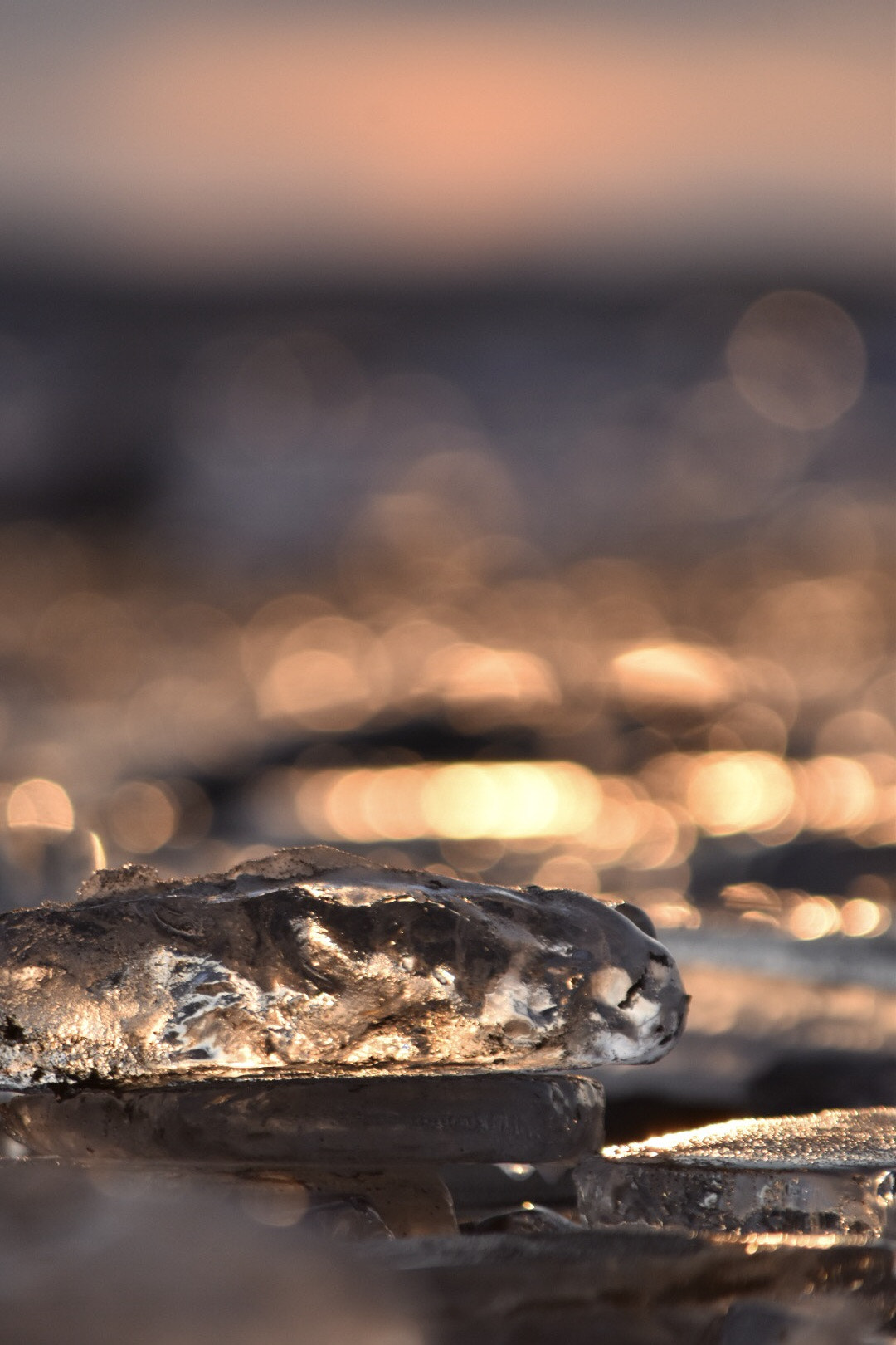 Nikon D5500 sample photo. Untitled photography