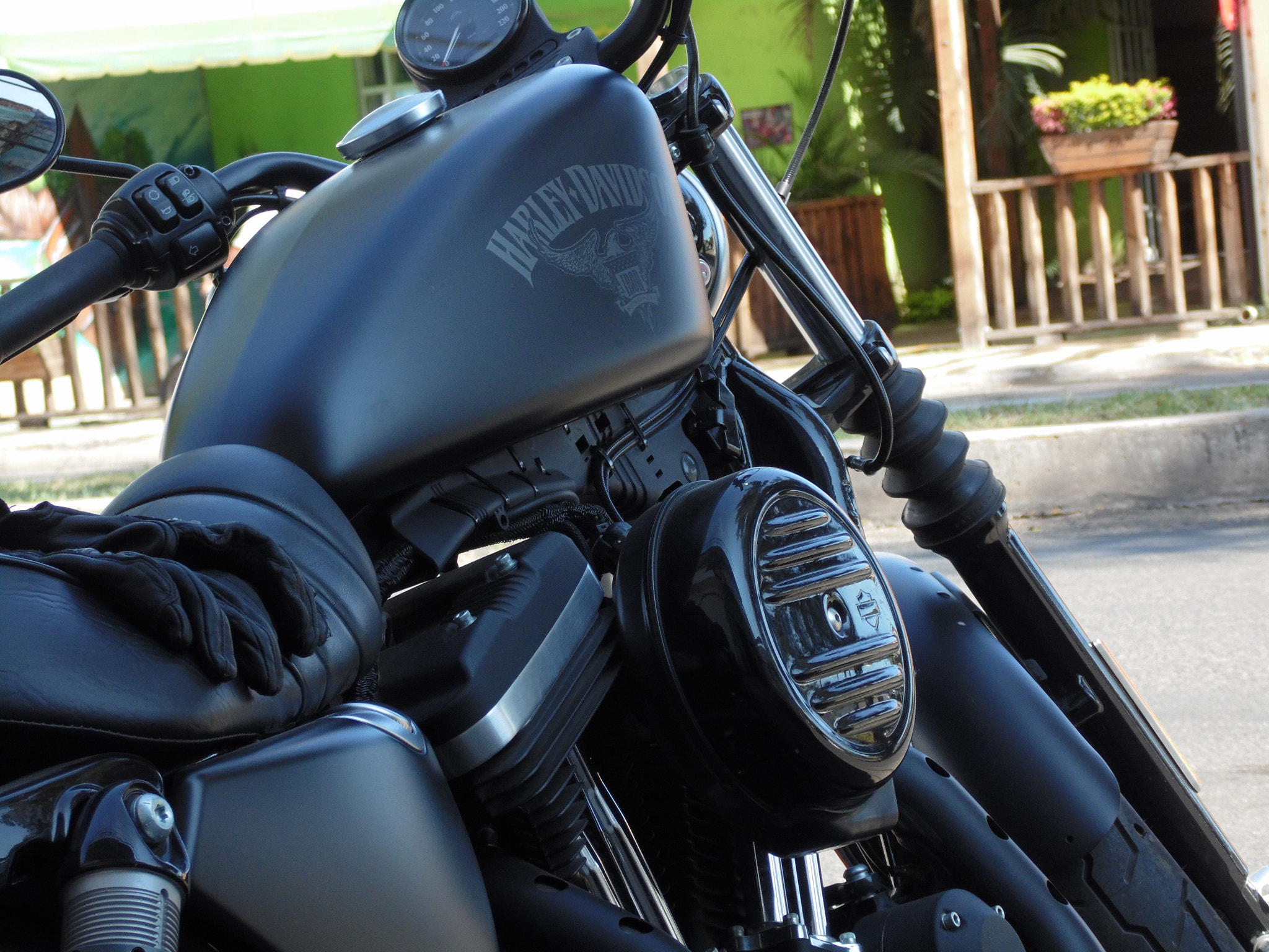 Samsung WB110/  WB111 sample photo. Harley photography