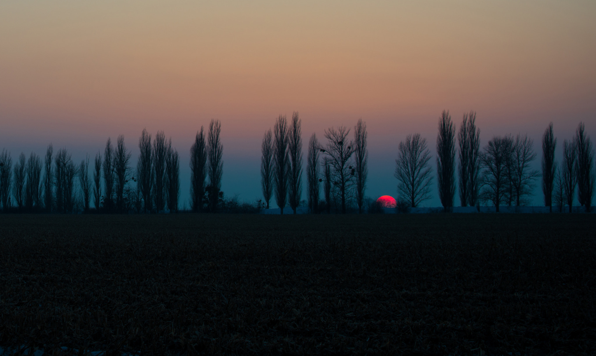 Nikon D800 sample photo. Winter sunset photography