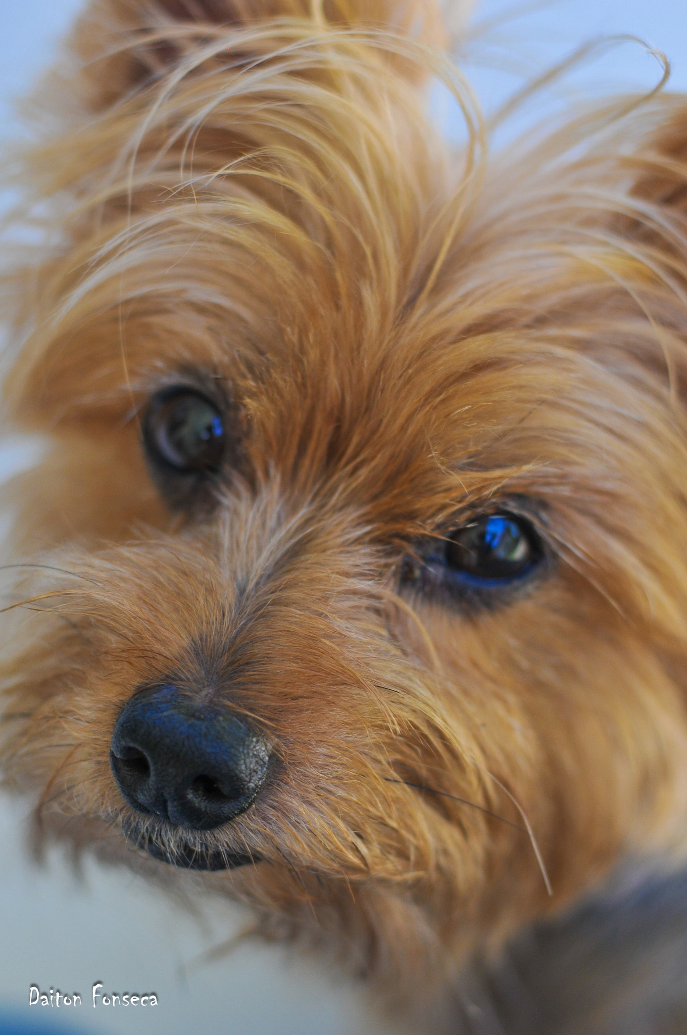 Nikon D300S + Nikon AF-S Nikkor 50mm F1.8G sample photo. Bob photography