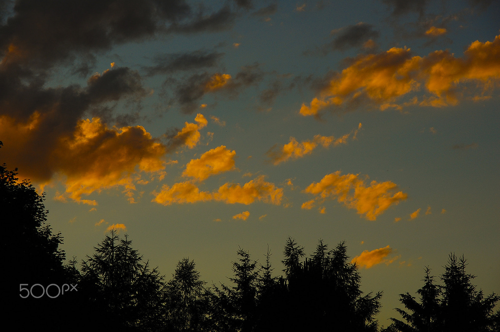 Nikon D40 sample photo. Morning photography