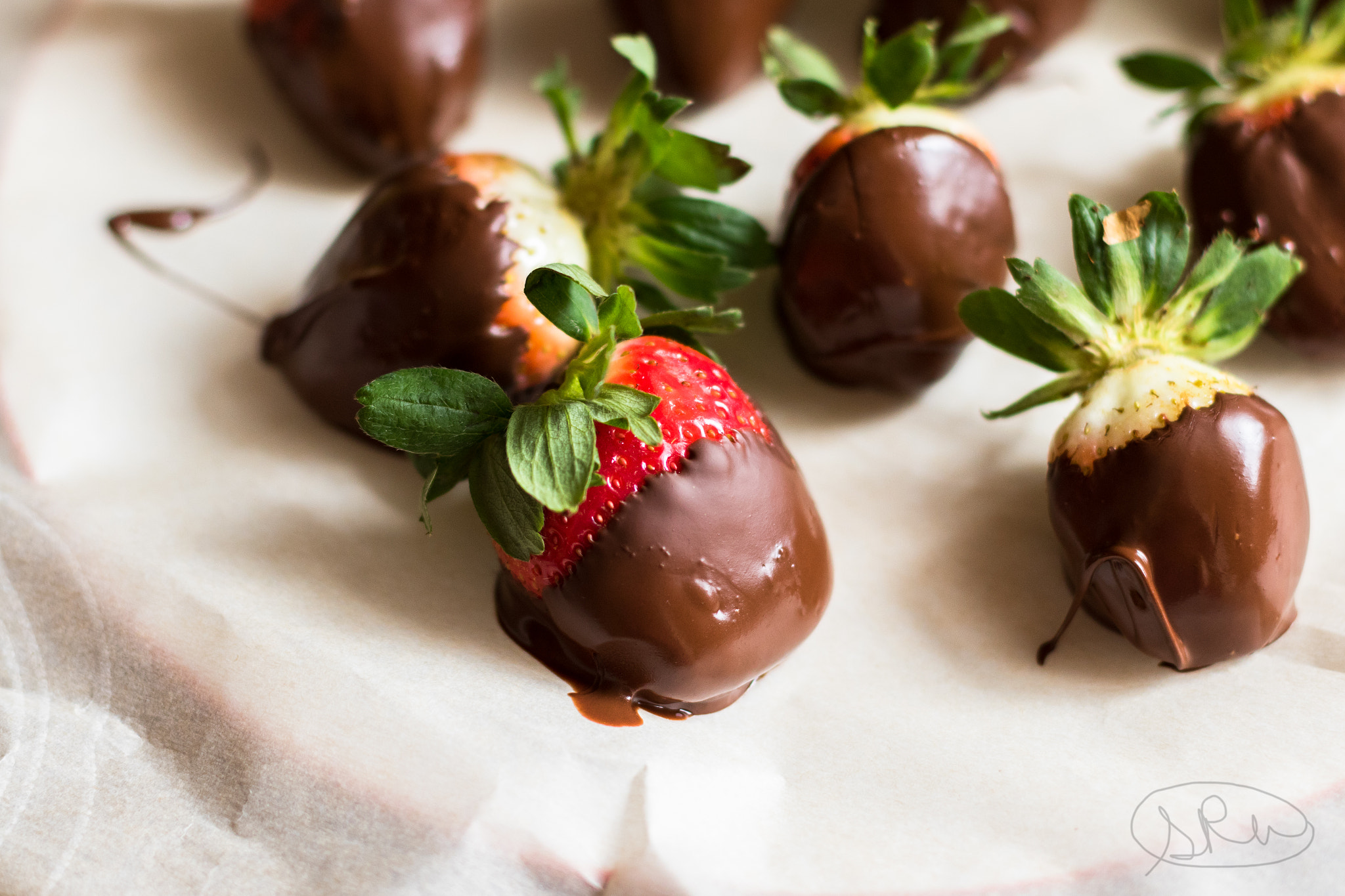 Canon EOS 7D Mark II sample photo. Chocolate covered strawberry photography