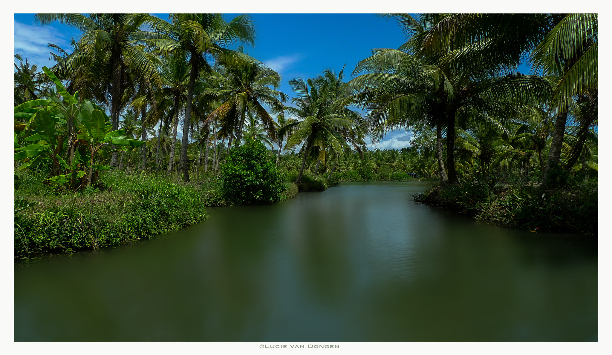 Leica D-LUX 4 sample photo. Kerala backwaters photography