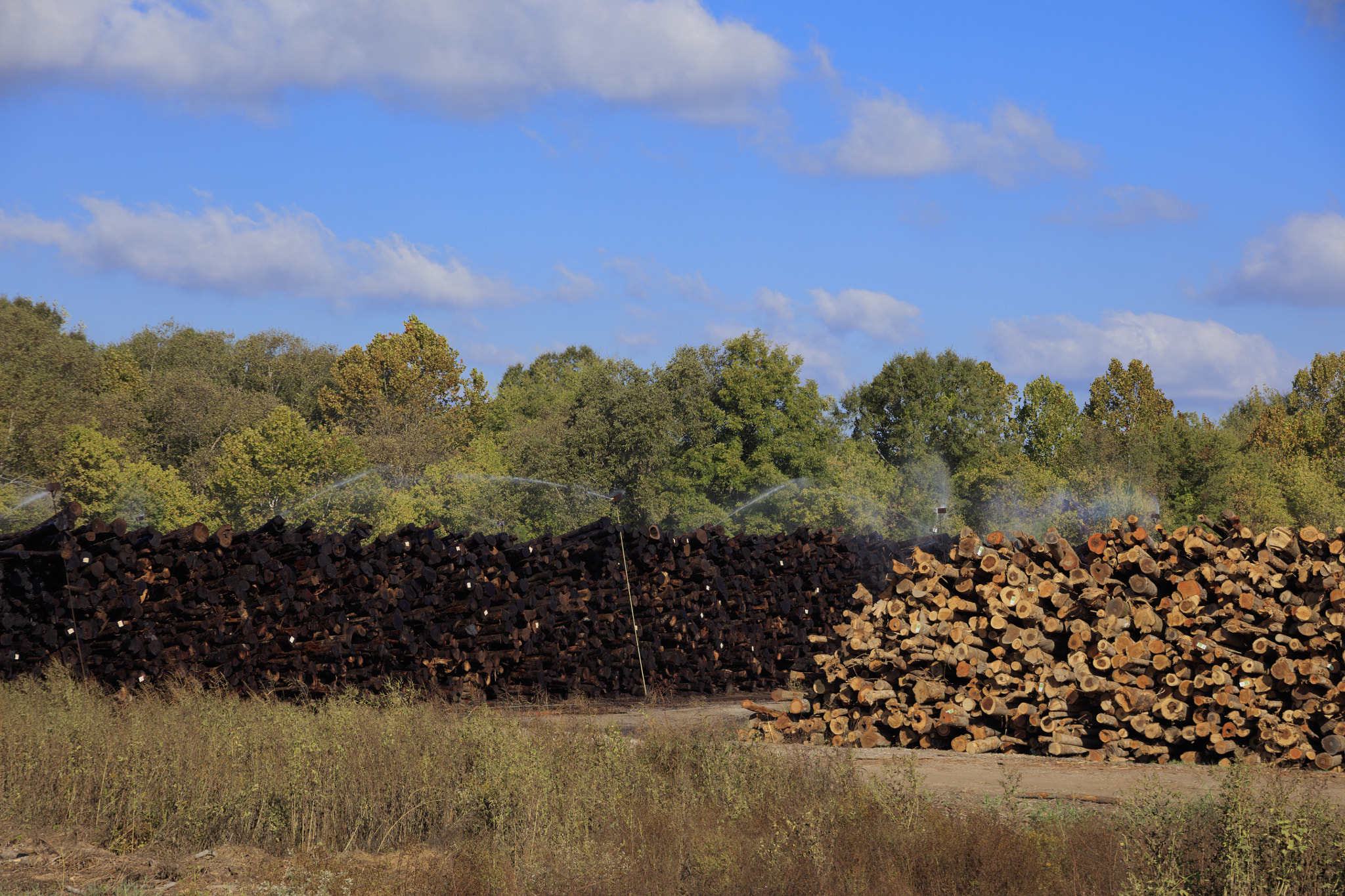 Canon EOS 5DS R sample photo. Logging industry meridian mississippi photography