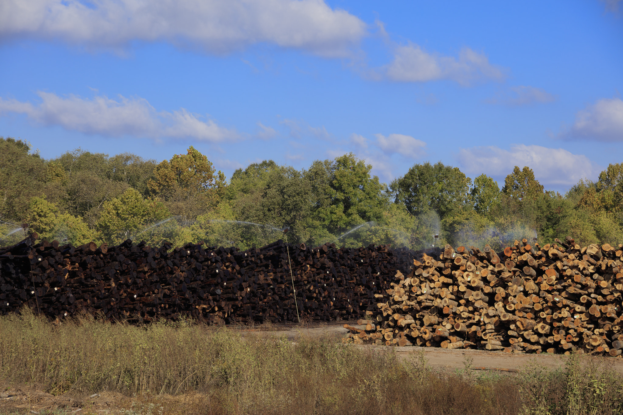 Canon EF 28-200mm F3.5-5.6 USM sample photo. Logging industry meridian mississippi photography