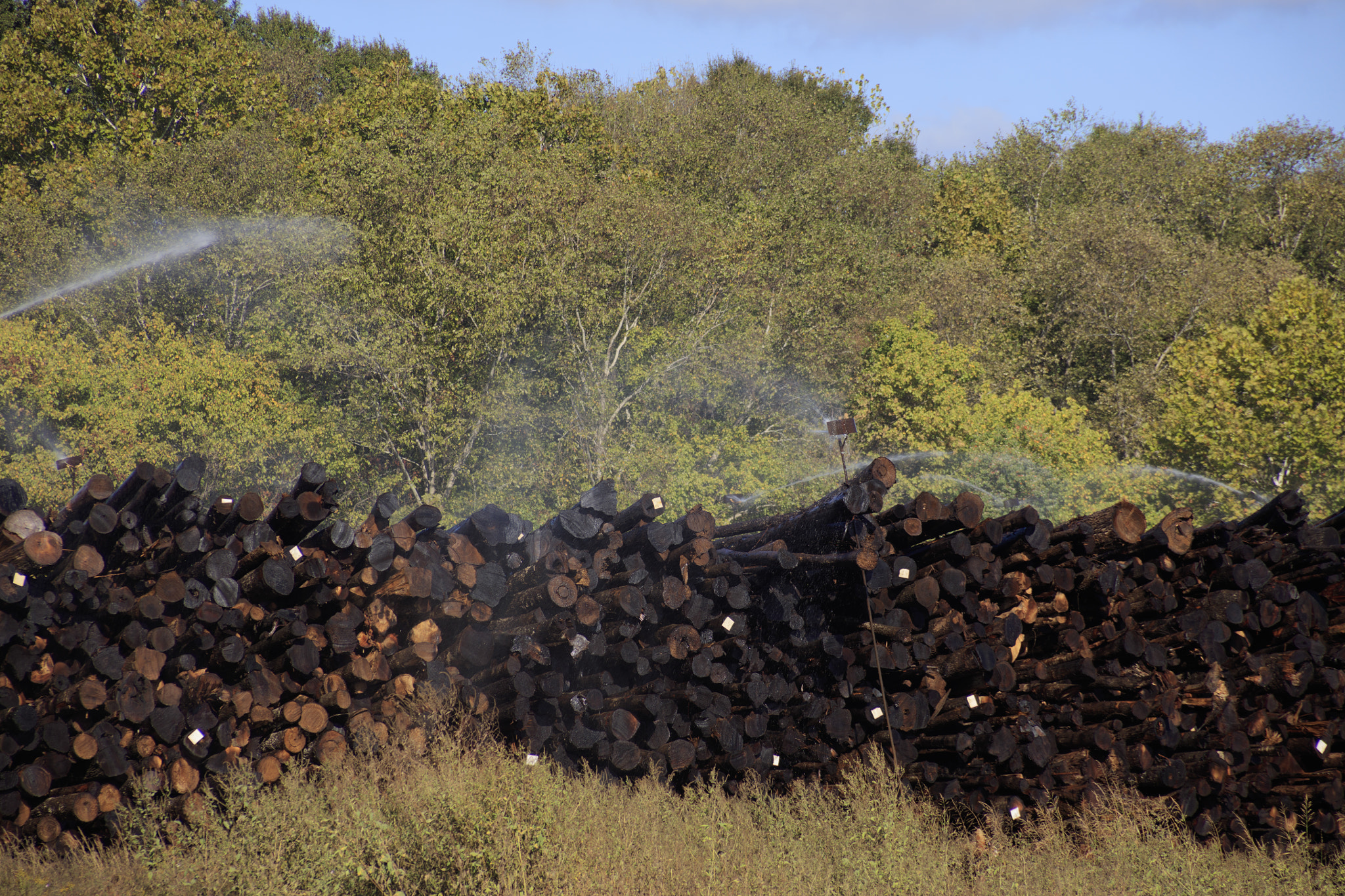 Canon EF 28-200mm F3.5-5.6 USM sample photo. Logging industry meridian mississippi photography