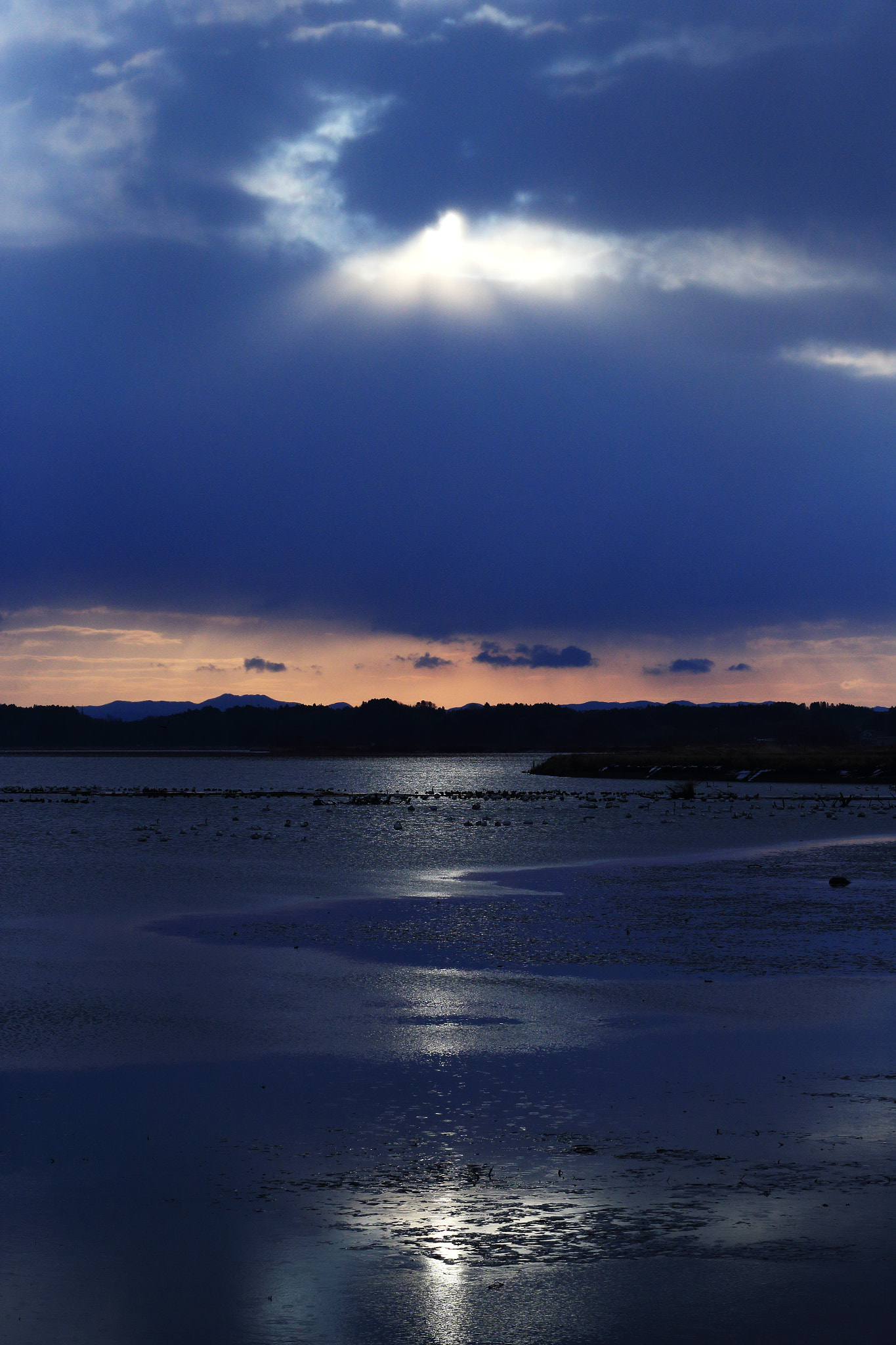 Canon EF 70-200mm F2.8L USM sample photo. Freezing morning photography