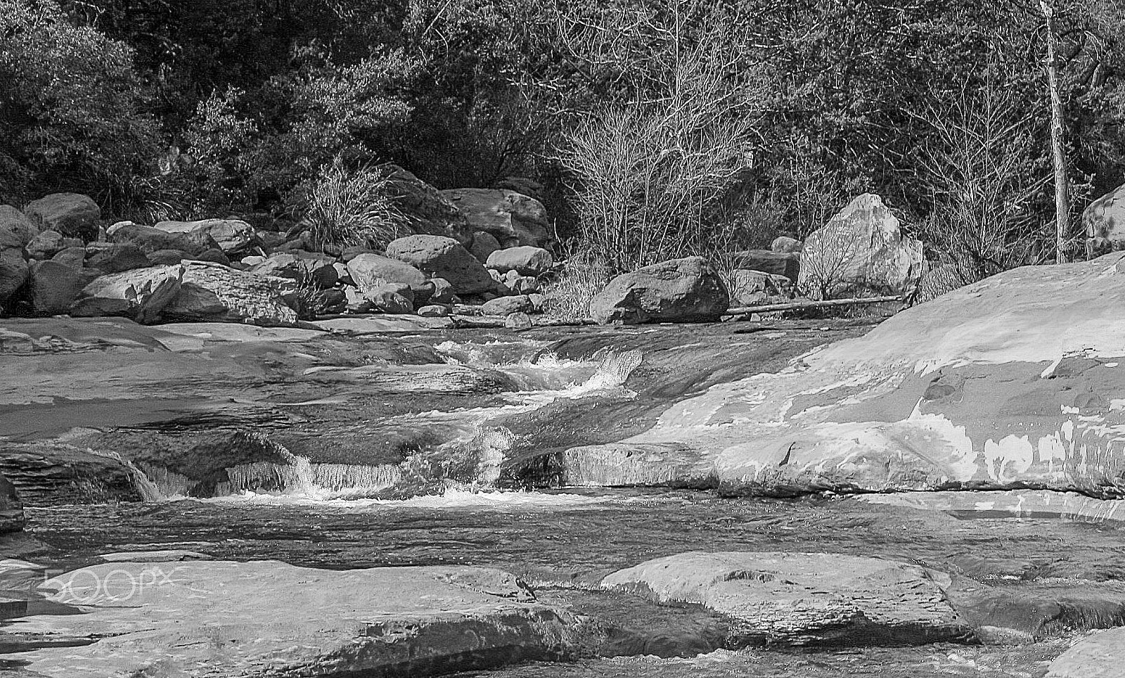 Canon EOS 400D (EOS Digital Rebel XTi / EOS Kiss Digital X) sample photo. On the banks of oak creek photography
