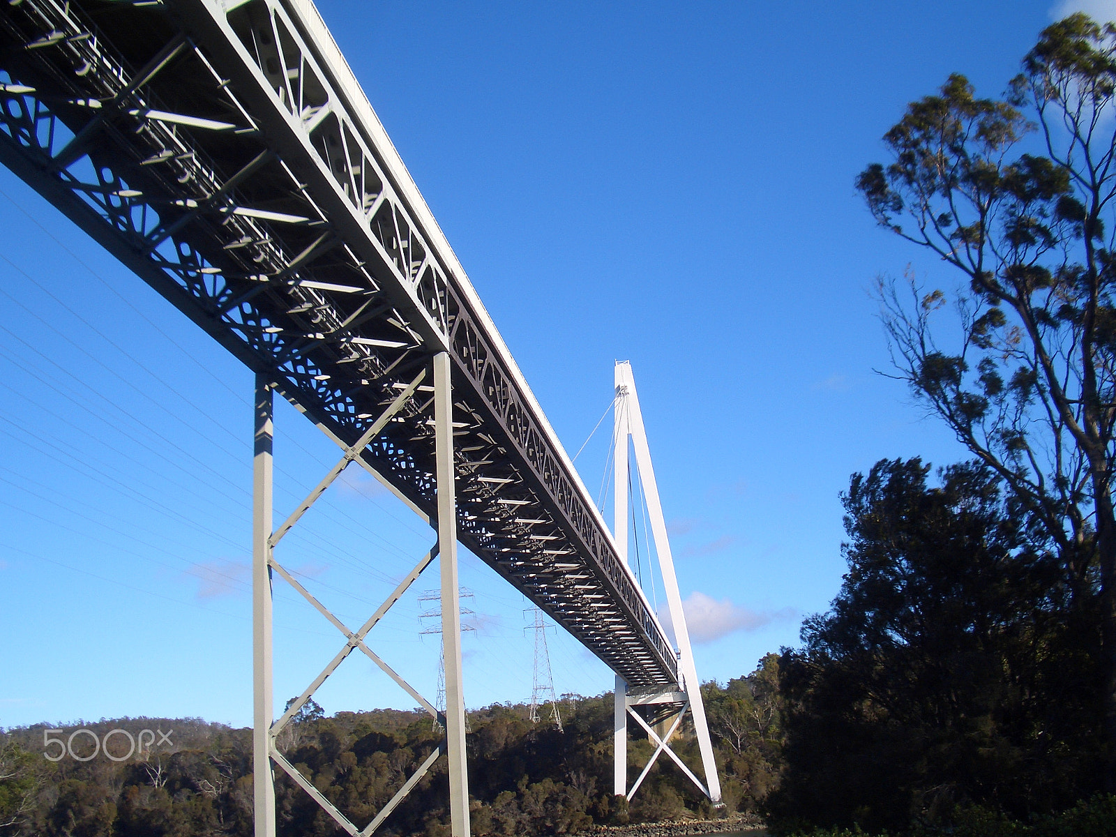CASIO EX-Z55 sample photo. Bridge over the valley photography