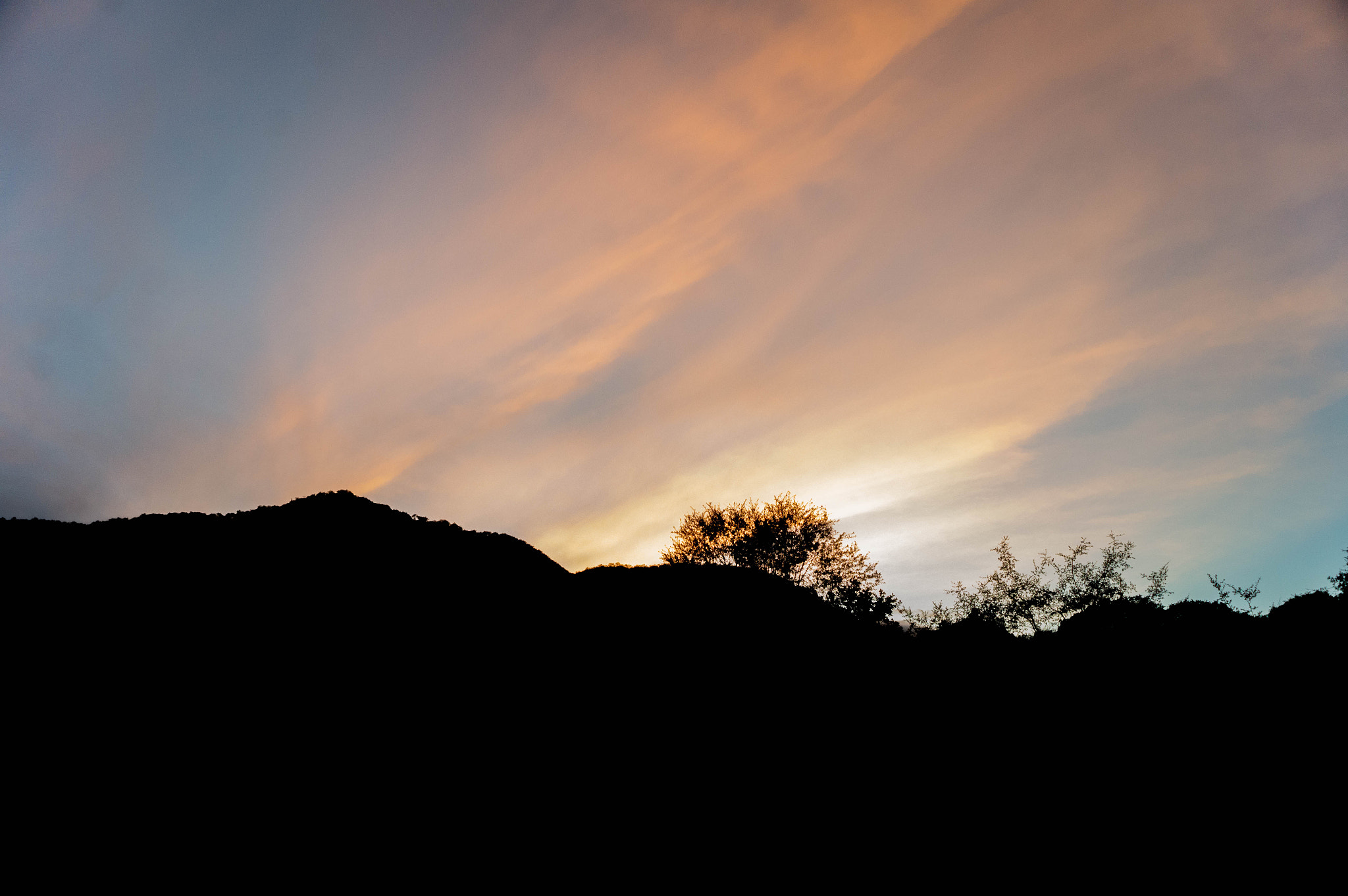 E 18-50mm F4-5.6 sample photo. Sunlight photography