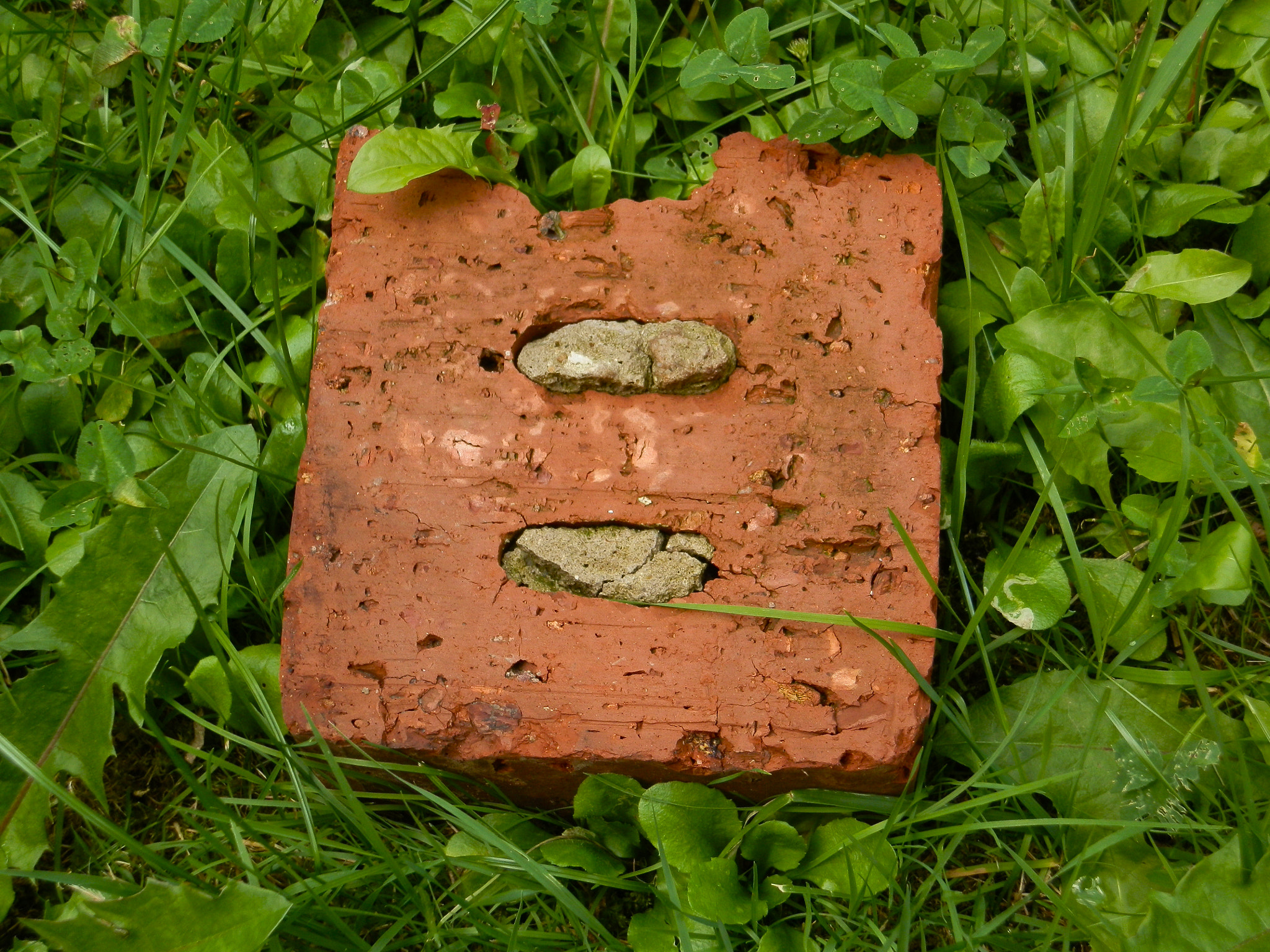 Olympus SZ-10 sample photo. Old brick in green grass photography