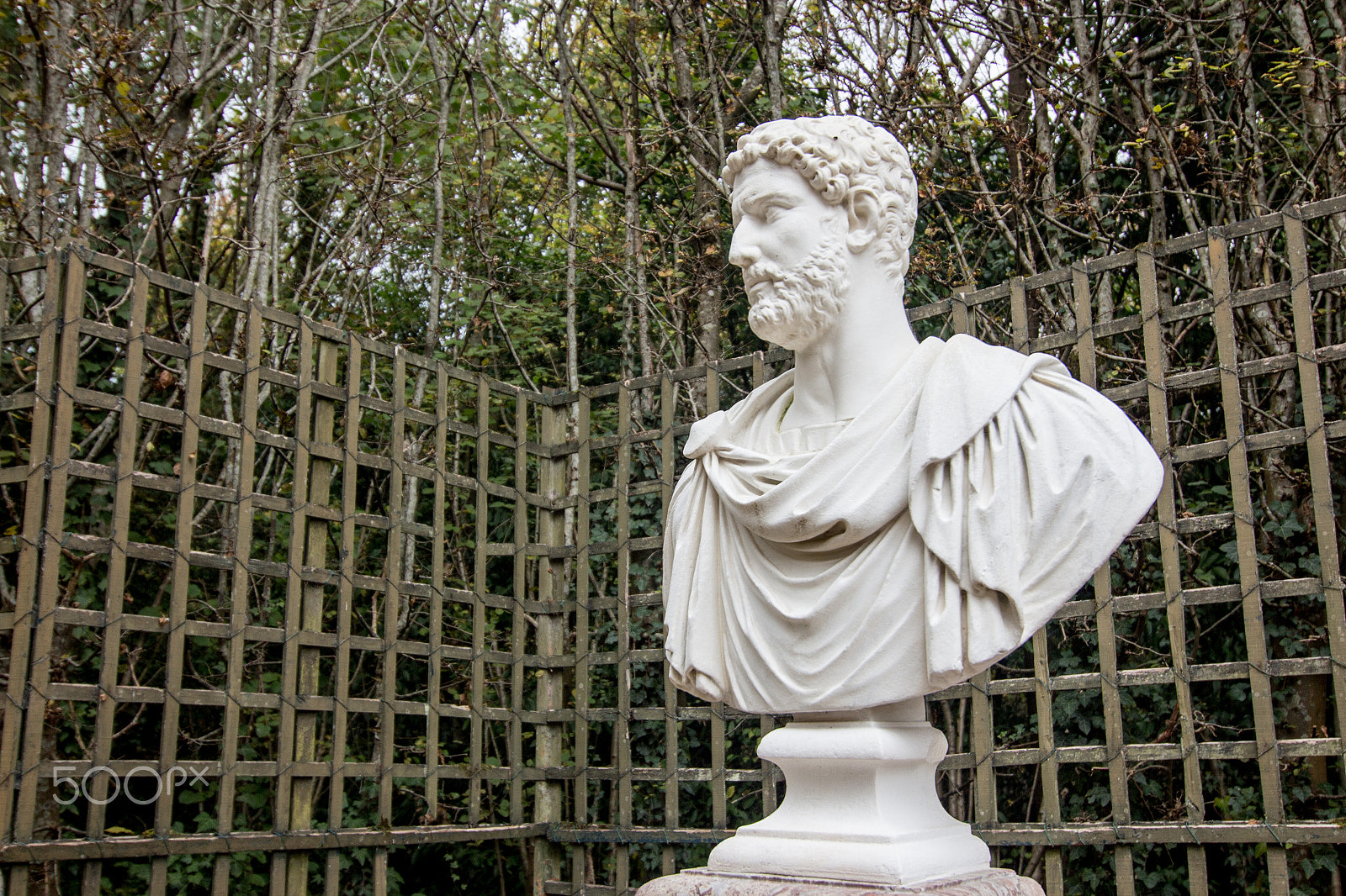 Tokina AT-X Pro 12-24mm F4 (IF) DX sample photo. Hadrian's bust photography