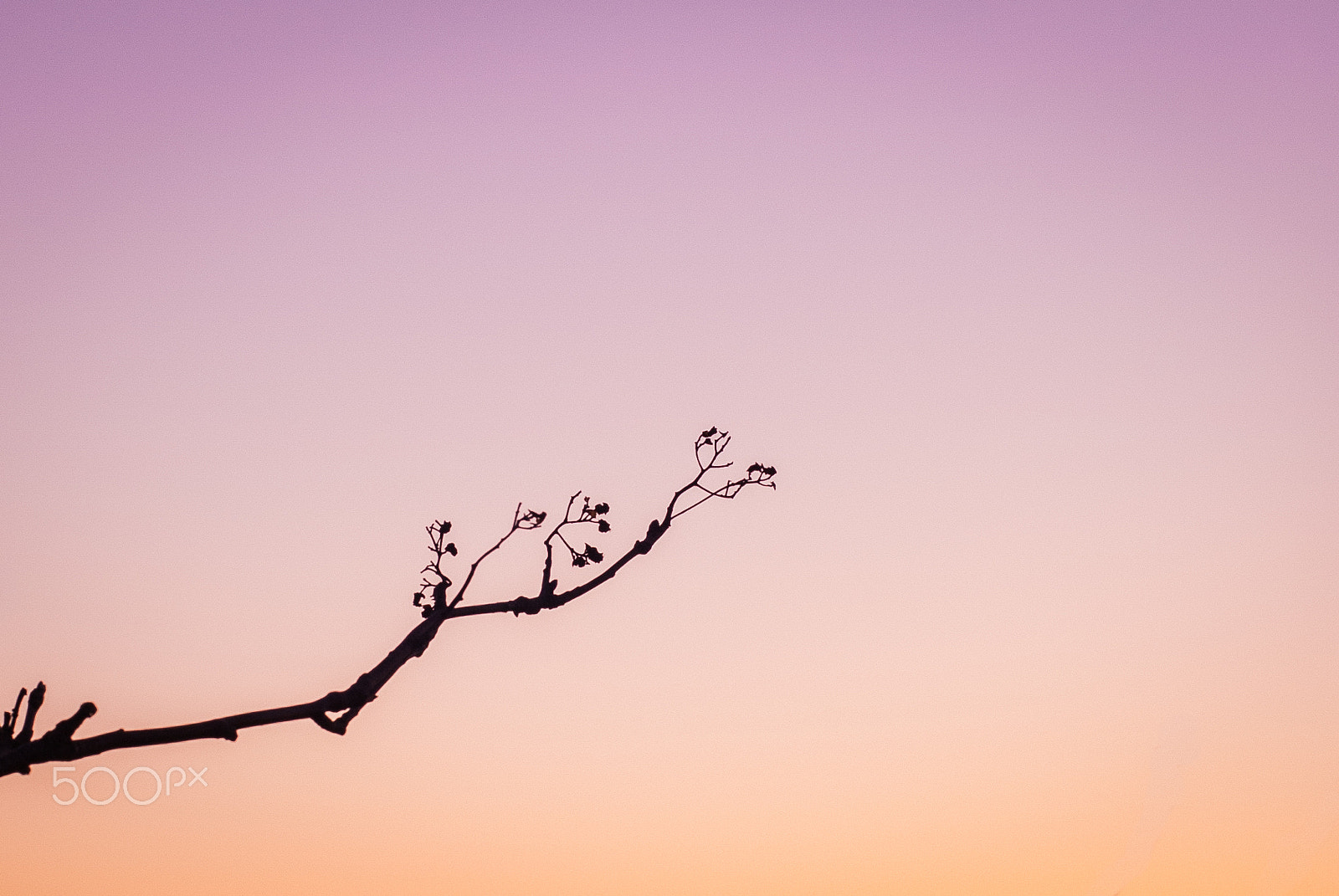 Nikon D200 + Nikon AF Nikkor 50mm F1.4D sample photo. Gradient sky photography