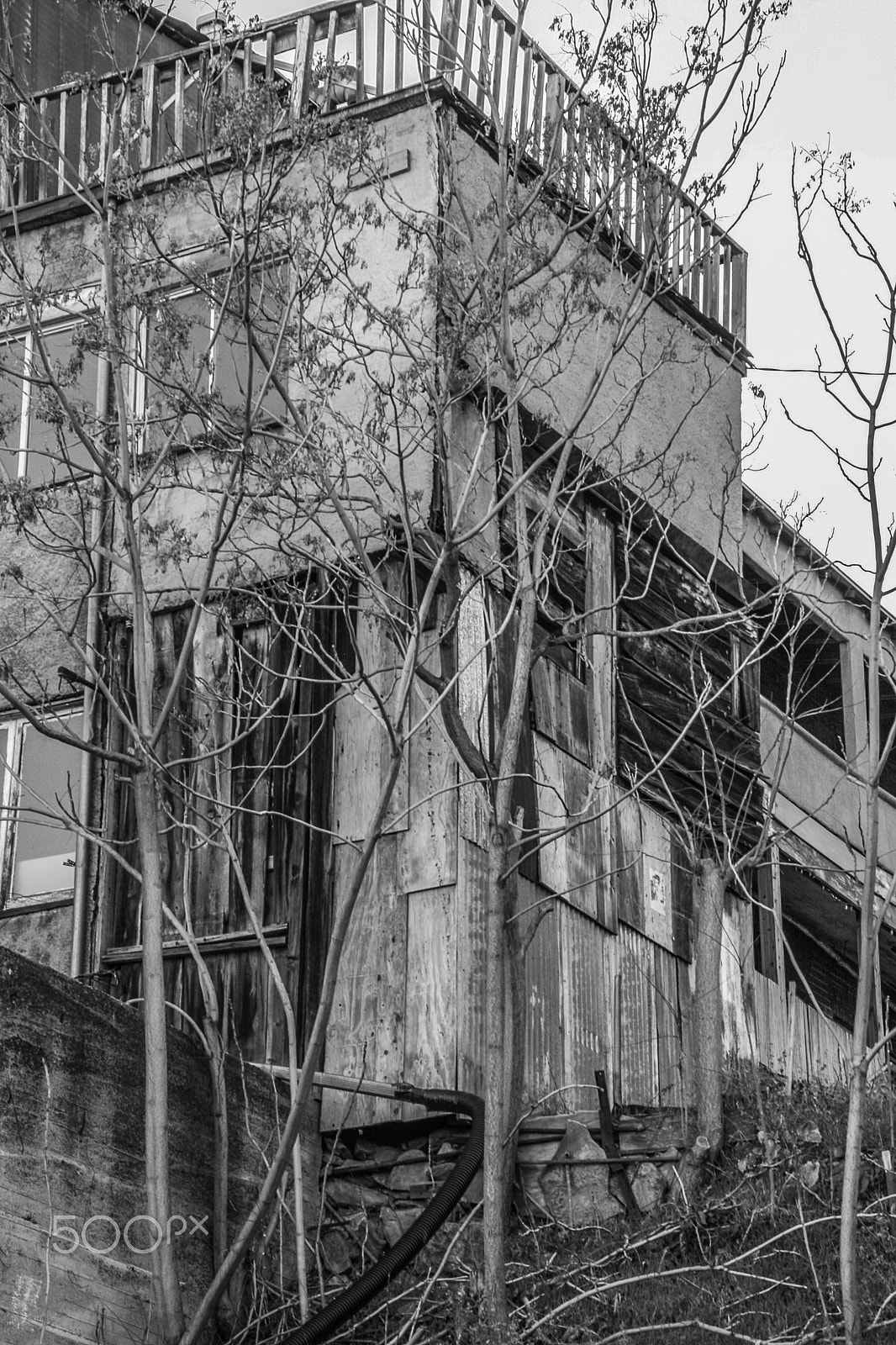 Canon EOS 400D (EOS Digital Rebel XTi / EOS Kiss Digital X) sample photo. Bwproject photography