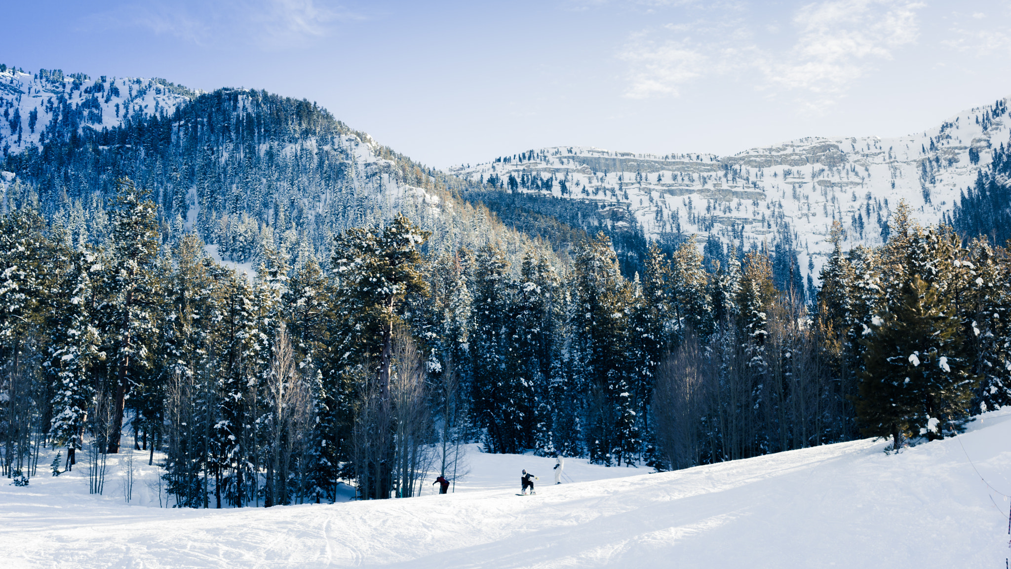 Sony a6000 + Sony Sonnar T* FE 35mm F2.8 ZA sample photo. Winter wonderland photography