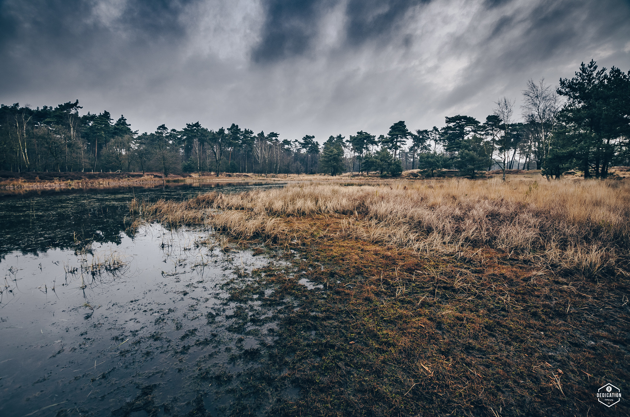 Nikon D7000 + Sigma 10-20mm F3.5 EX DC HSM sample photo. Beegderheide photography
