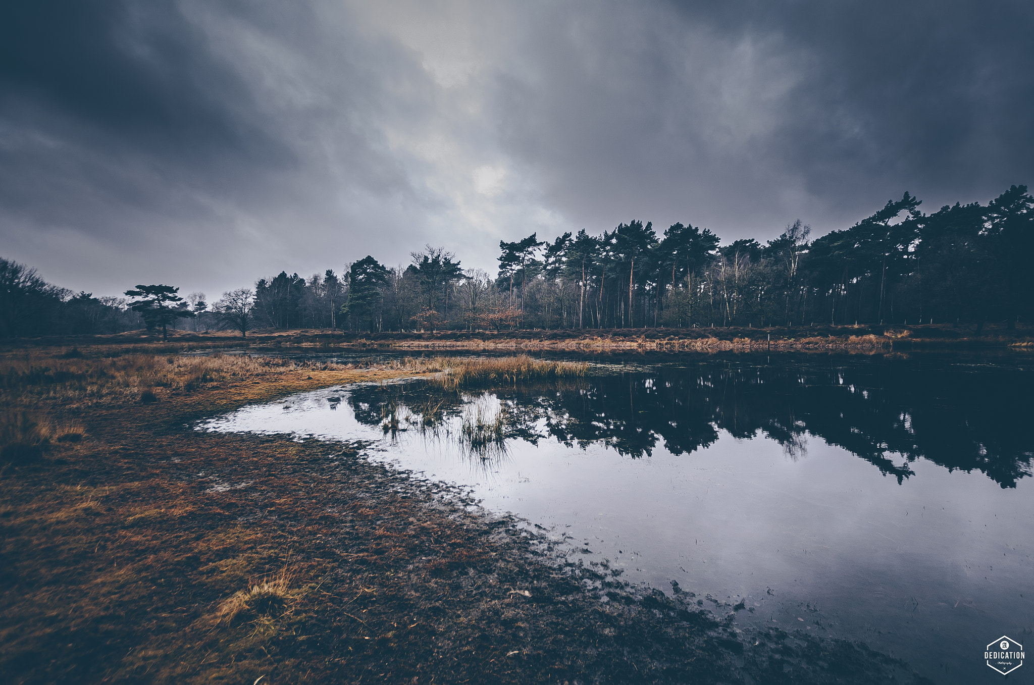 Nikon D7000 + Sigma 10-20mm F3.5 EX DC HSM sample photo. Beegderheide photography