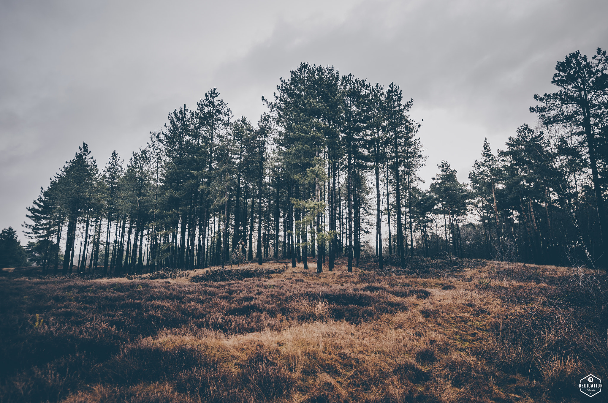 Nikon D7000 + Sigma 10-20mm F3.5 EX DC HSM sample photo. Beegderheide photography