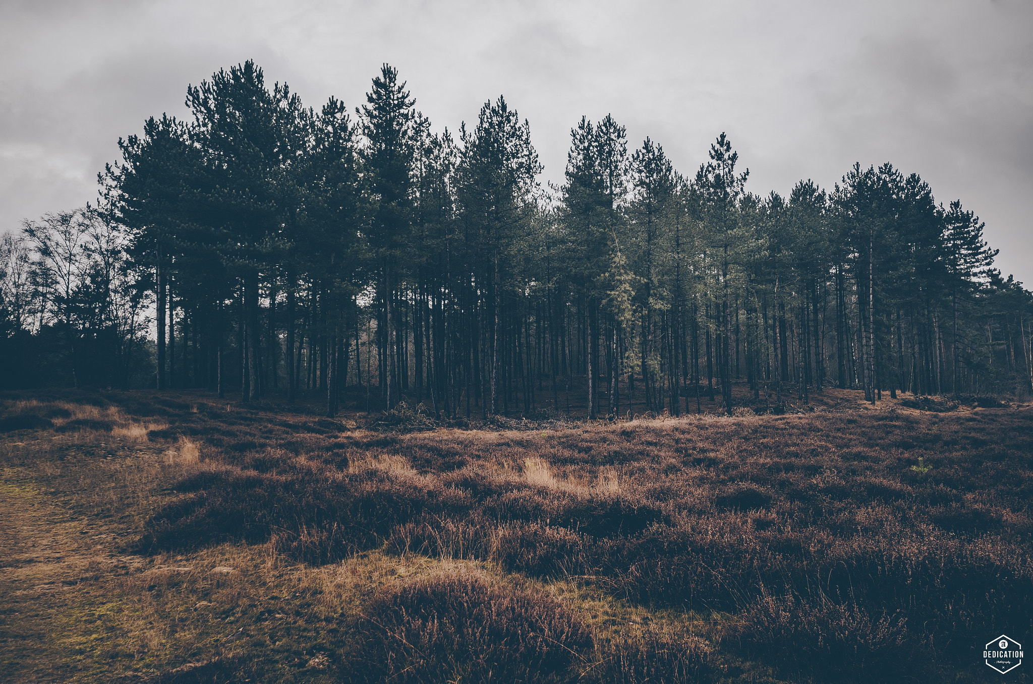 Nikon D7000 + Sigma 10-20mm F3.5 EX DC HSM sample photo. Beegderheide photography