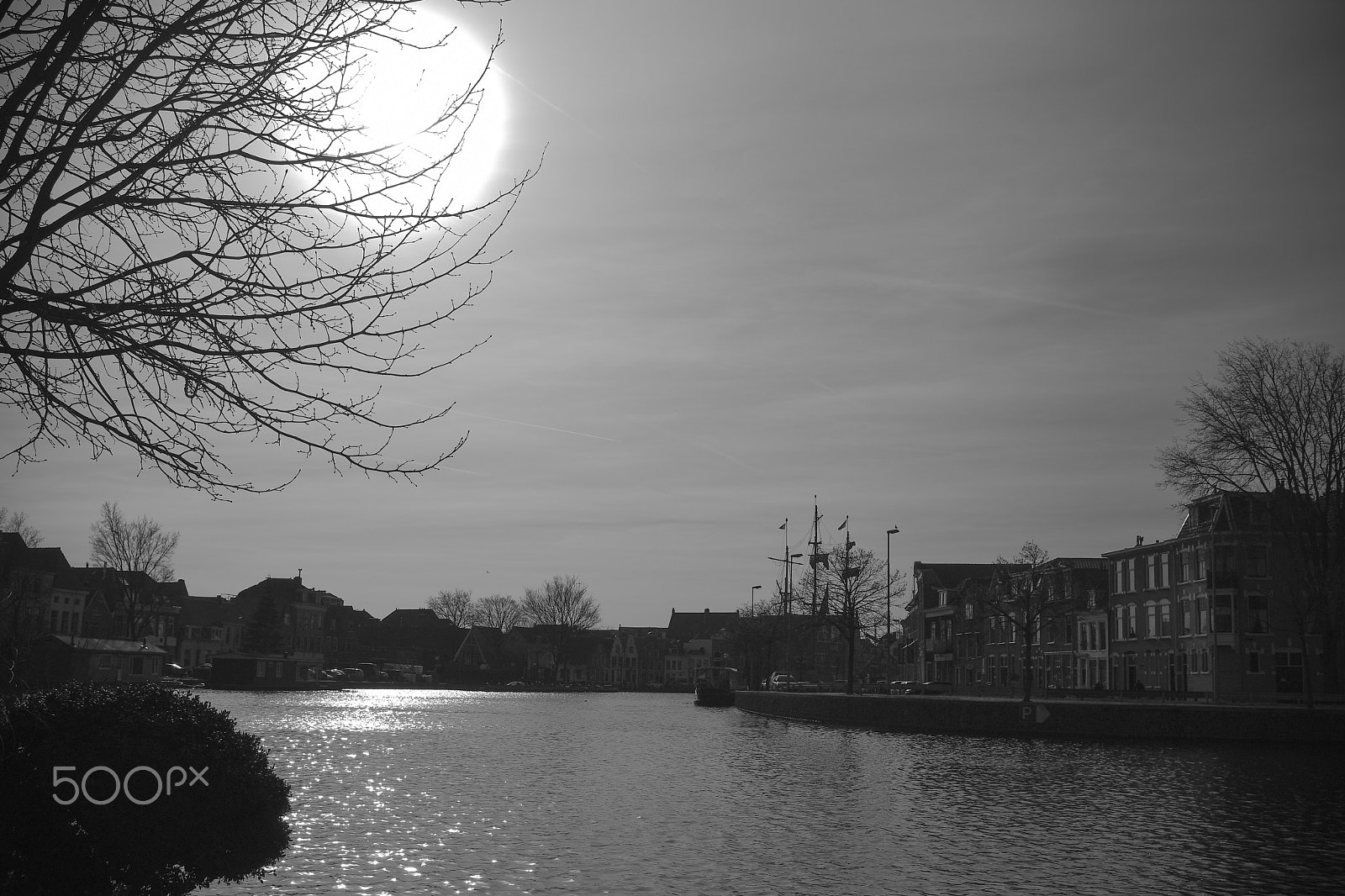 Nikon D500 sample photo. Spaarne photography