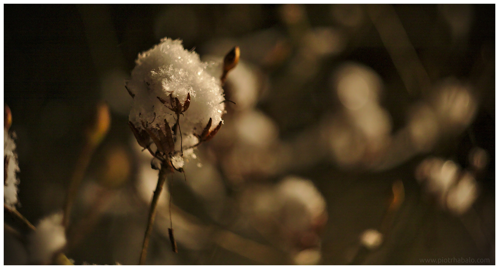 Canon EF 35-80mm f/4-5.6 sample photo. Night winter view photography
