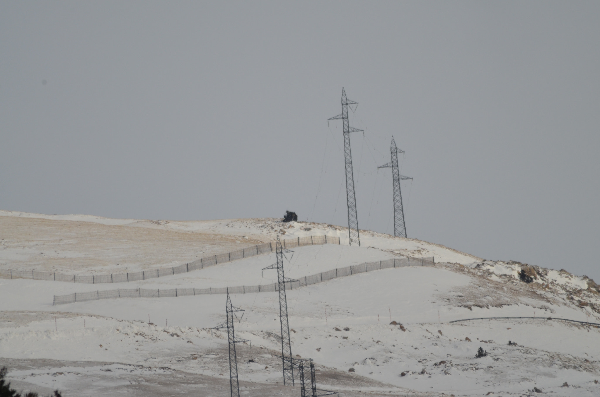 Sigma 150-500mm F5-6.3 DG OS HSM sample photo. 500 + multi photography