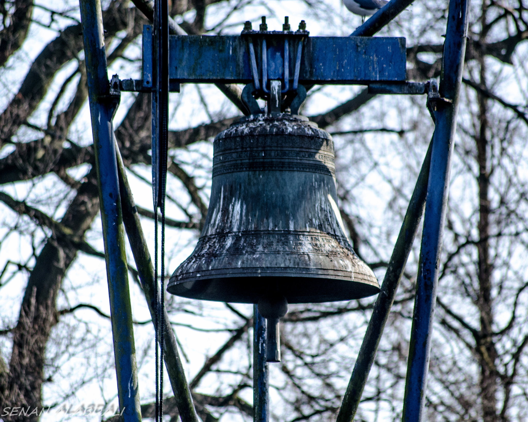 Sigma 70-300mm F4-5.6 APO DG Macro sample photo. Dsc photography