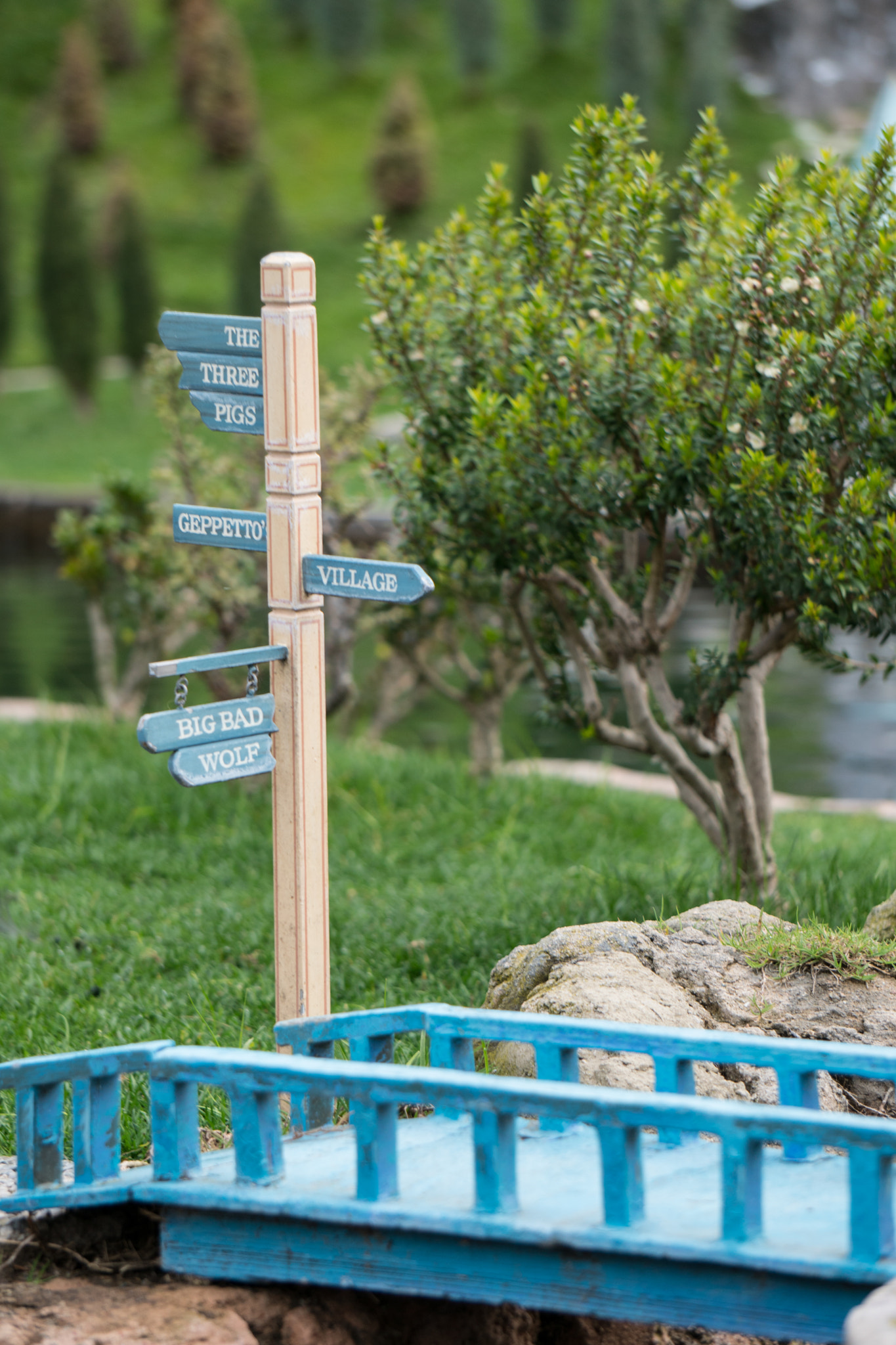 Sony a6300 + Sony E 55-210mm F4.5-6.3 OSS sample photo. Dsc photography
