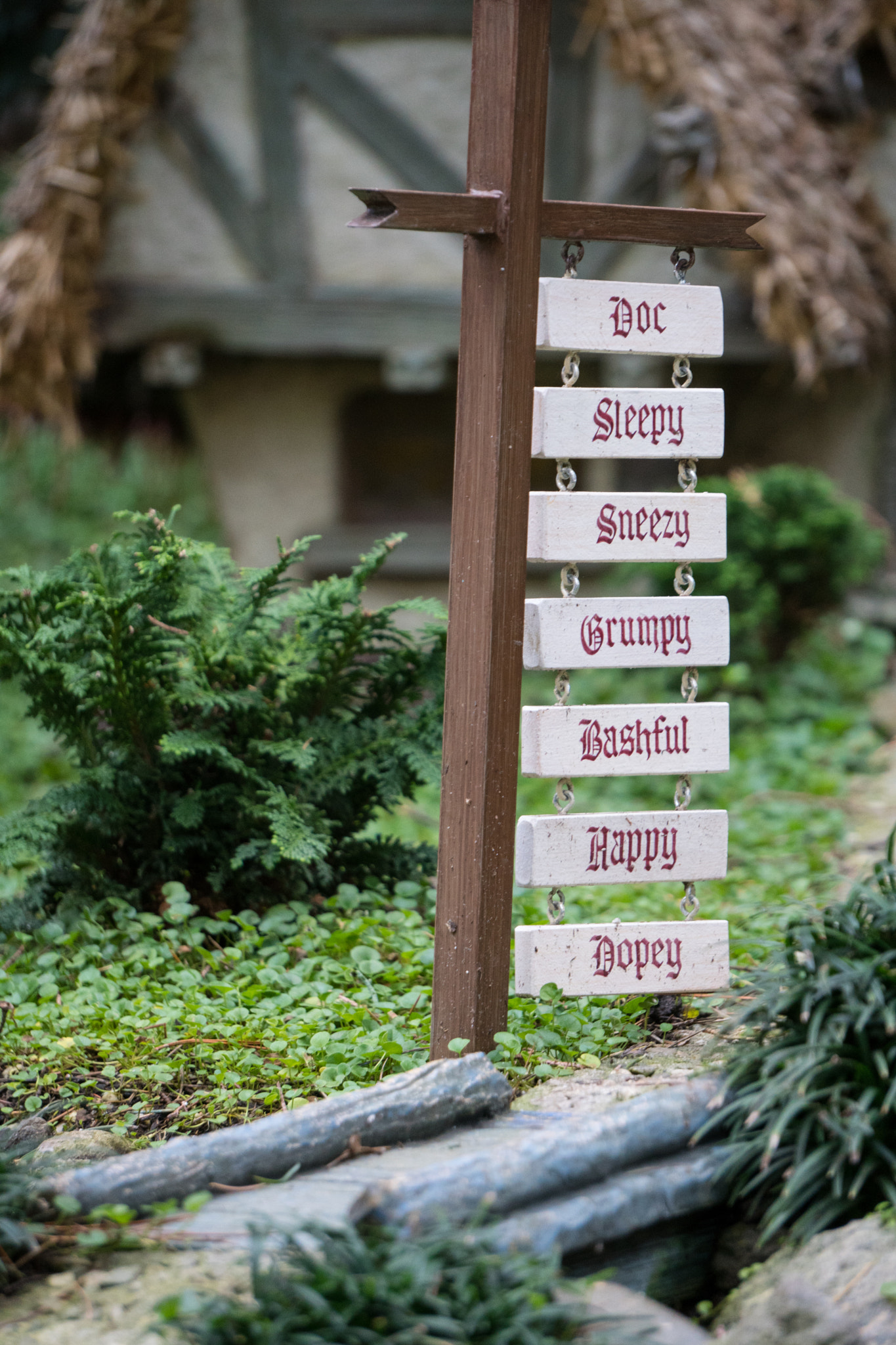 Sony a6300 + Sony E 55-210mm F4.5-6.3 OSS sample photo. Dsc photography