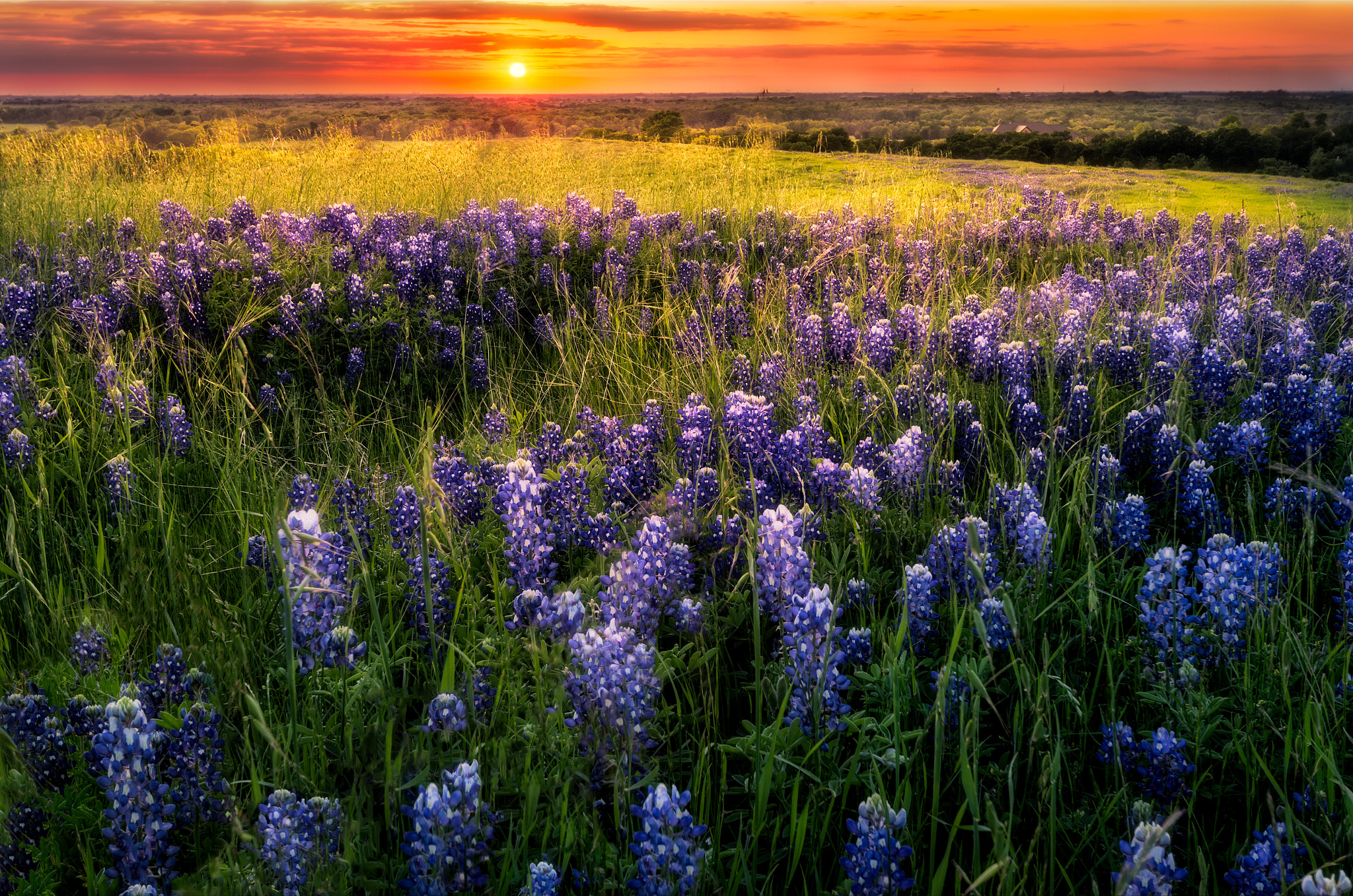 Pentax K-5 sample photo. Sunset on sugar ridge road, ennis, tx photography