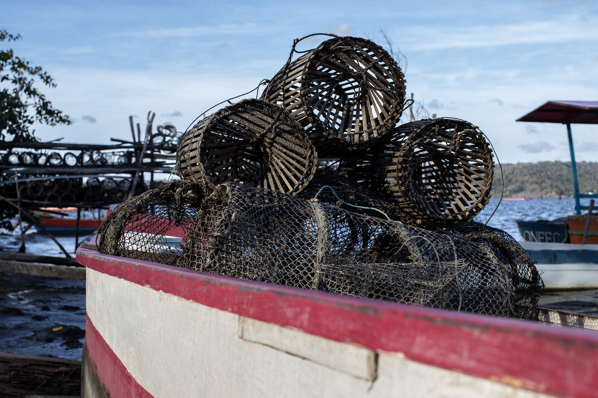 Canon EF 40mm F2.8 STM sample photo. Crab trap photography