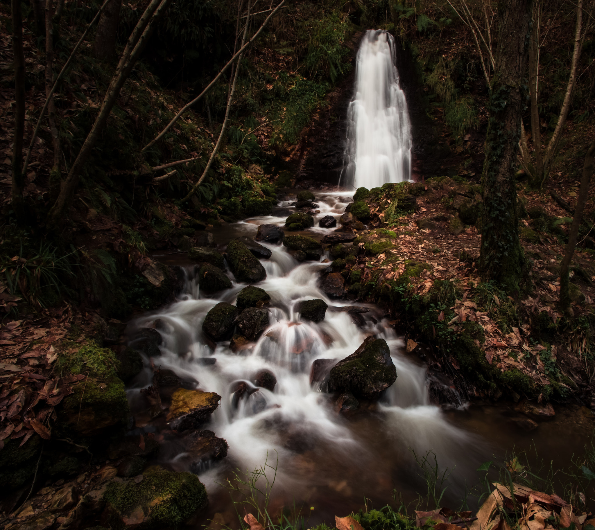 Sigma 18-125mm F3.8-5.6 DC OS HSM sample photo. Nonaya photography
