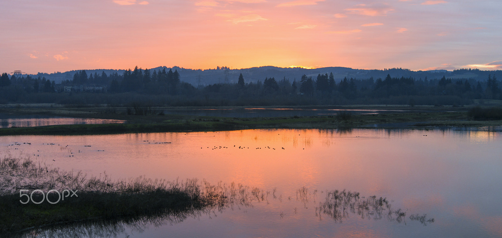 Pentax K-3 sample photo. Sunset in the refuge photography