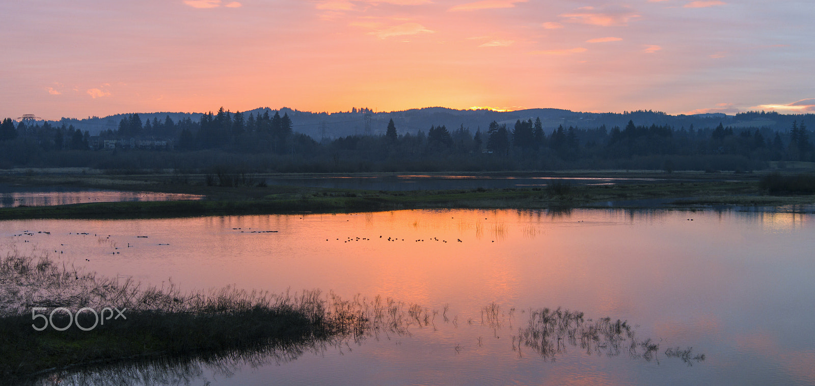 Pentax K-3 + Pentax smc DA 55-300mm F4.0-5.8 ED sample photo. Sunset in the refuge photography