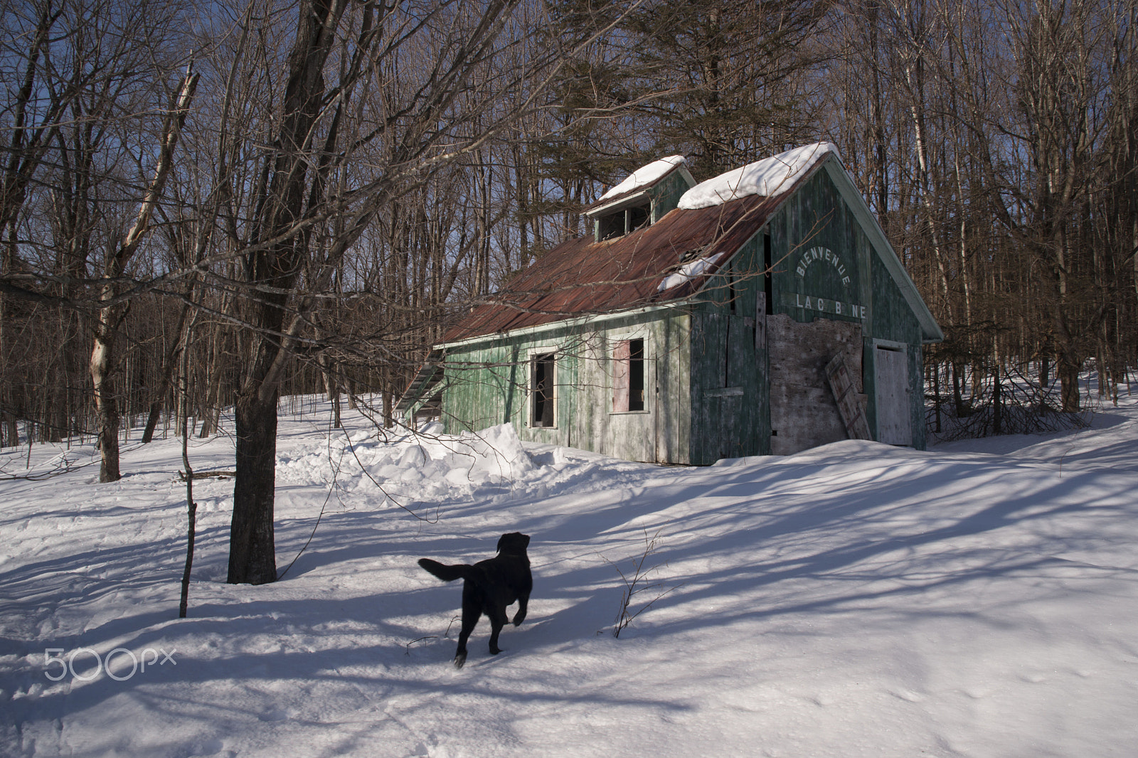 Minolta/Sony AF 24-105mm F3.5-4.5 (D) sample photo. The hut has lost some snow photography