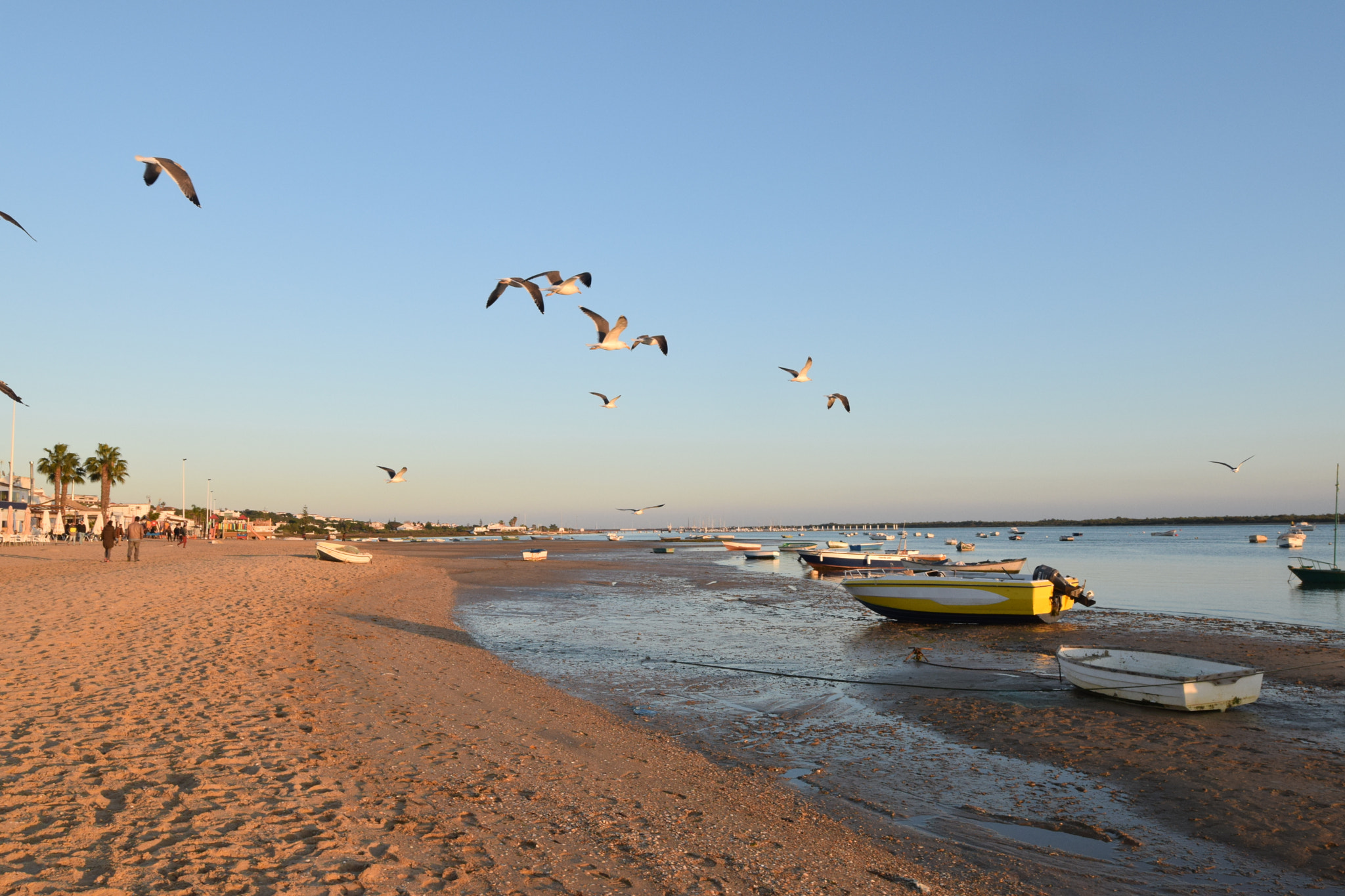 Nikon AF-S Nikkor 14-24mm F2.8G ED sample photo. Sea photography