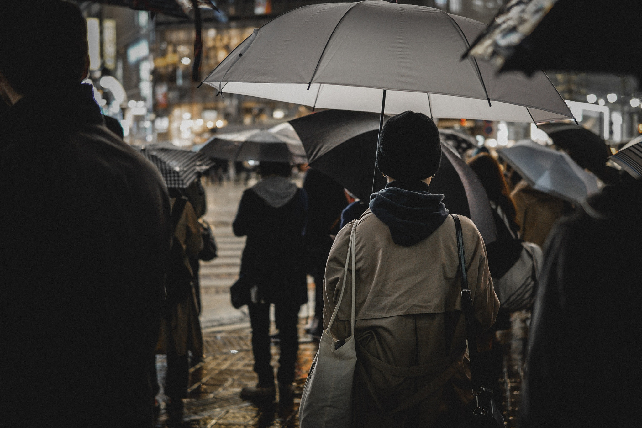 Sony a6000 + Sigma 30mm F1.4 DC DN | C sample photo. ☂️ photography