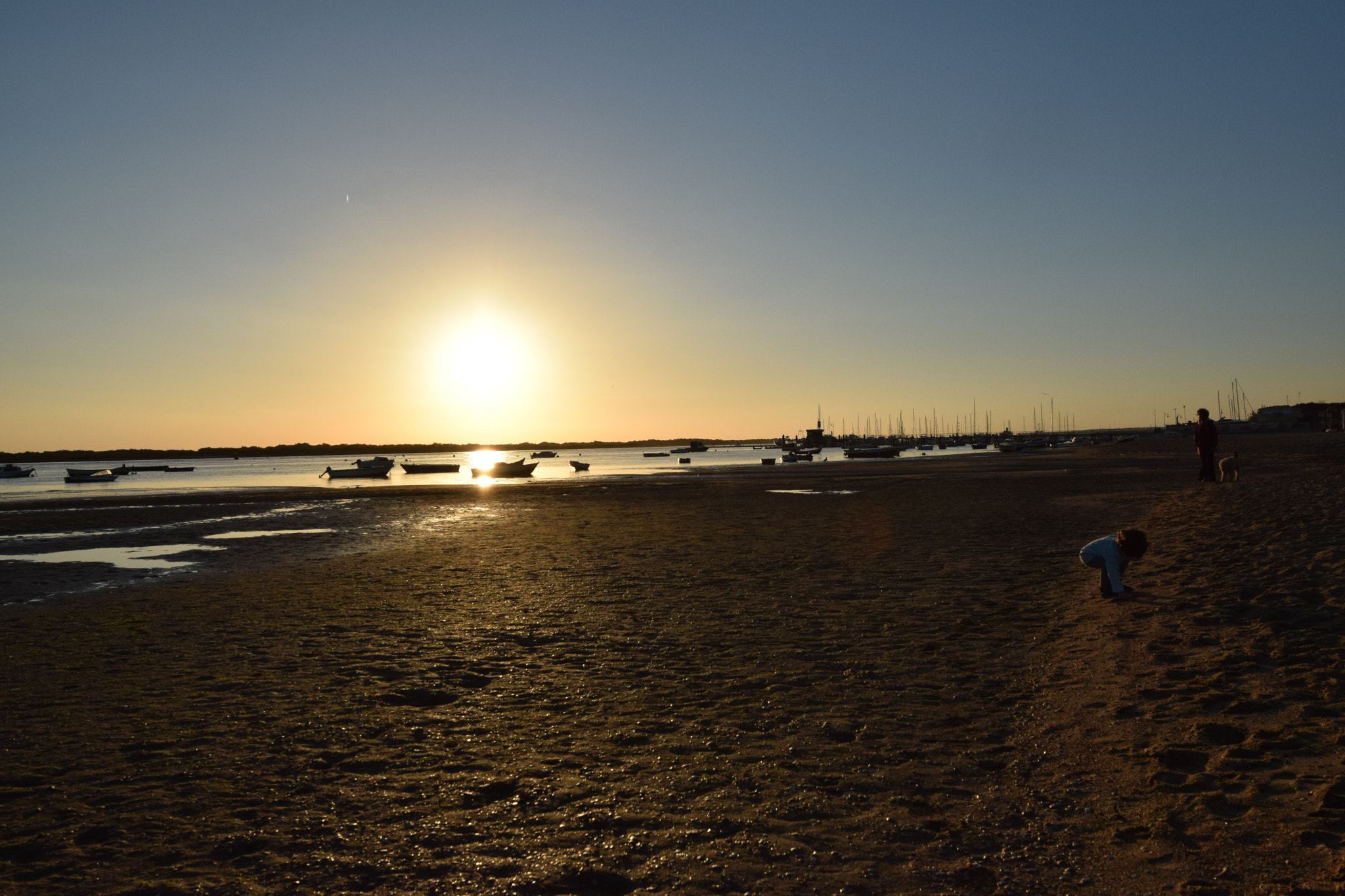 Nikon AF-S Nikkor 14-24mm F2.8G ED sample photo. Kid looking for crabs photography