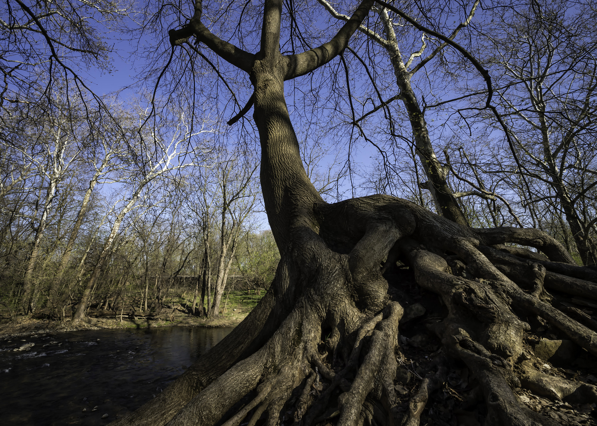 Nikon D4S sample photo. _d4s1795-1.jpg photography