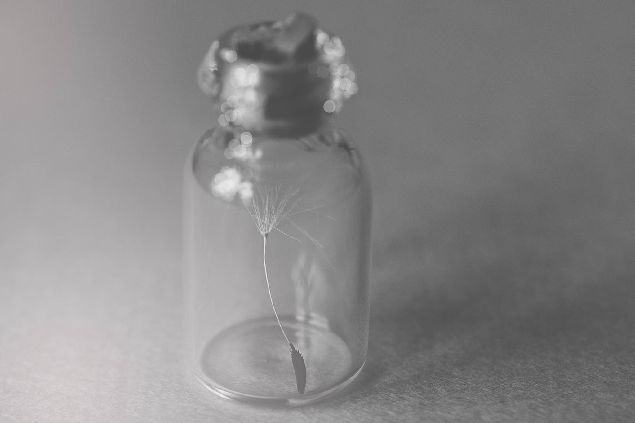 Nikon D750 sample photo. Bottle up a wish for me photography