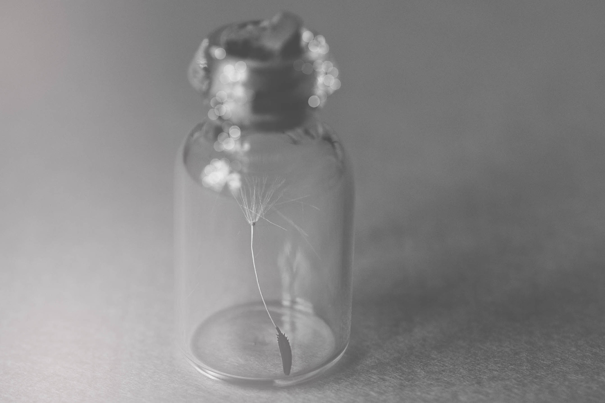 Nikon AF-S DX Micro Nikkor 40mm F2.8 sample photo. Bottle up a wish for me photography