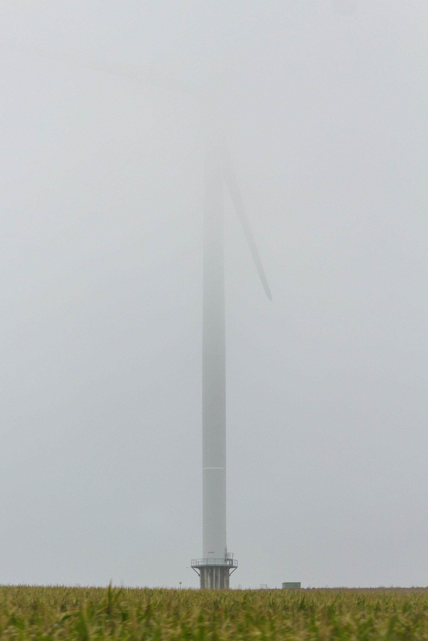 Sigma 50-200mm F4-5.6 DC OS HSM sample photo. Fog photography
