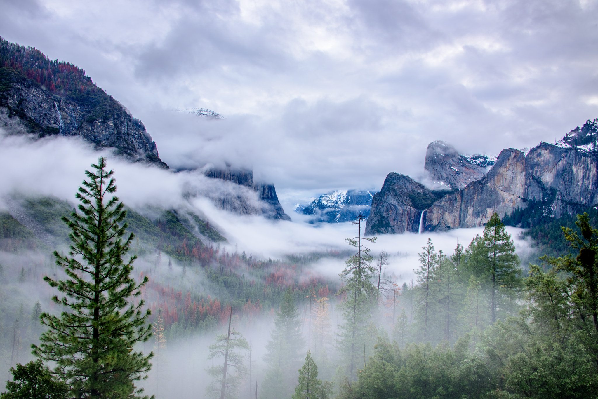 Nikon D810A + Nikon AF-S Nikkor 28-300mm F3.5-5.6G ED VR sample photo. Tunnel view in the early morning photography