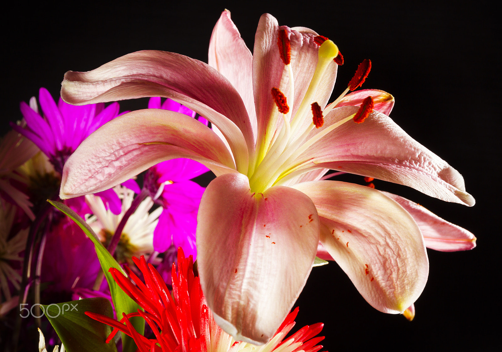 Sigma 24-105mm f/4 DG OS HSM | A sample photo. [] photography