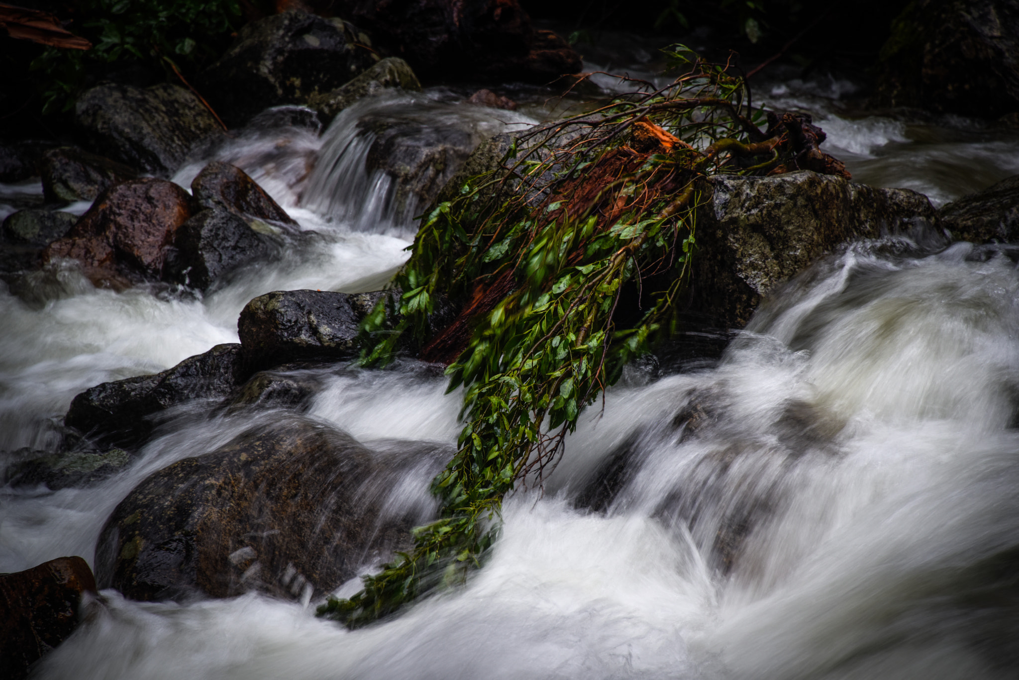 Nikon D810A sample photo. Falls stream photography