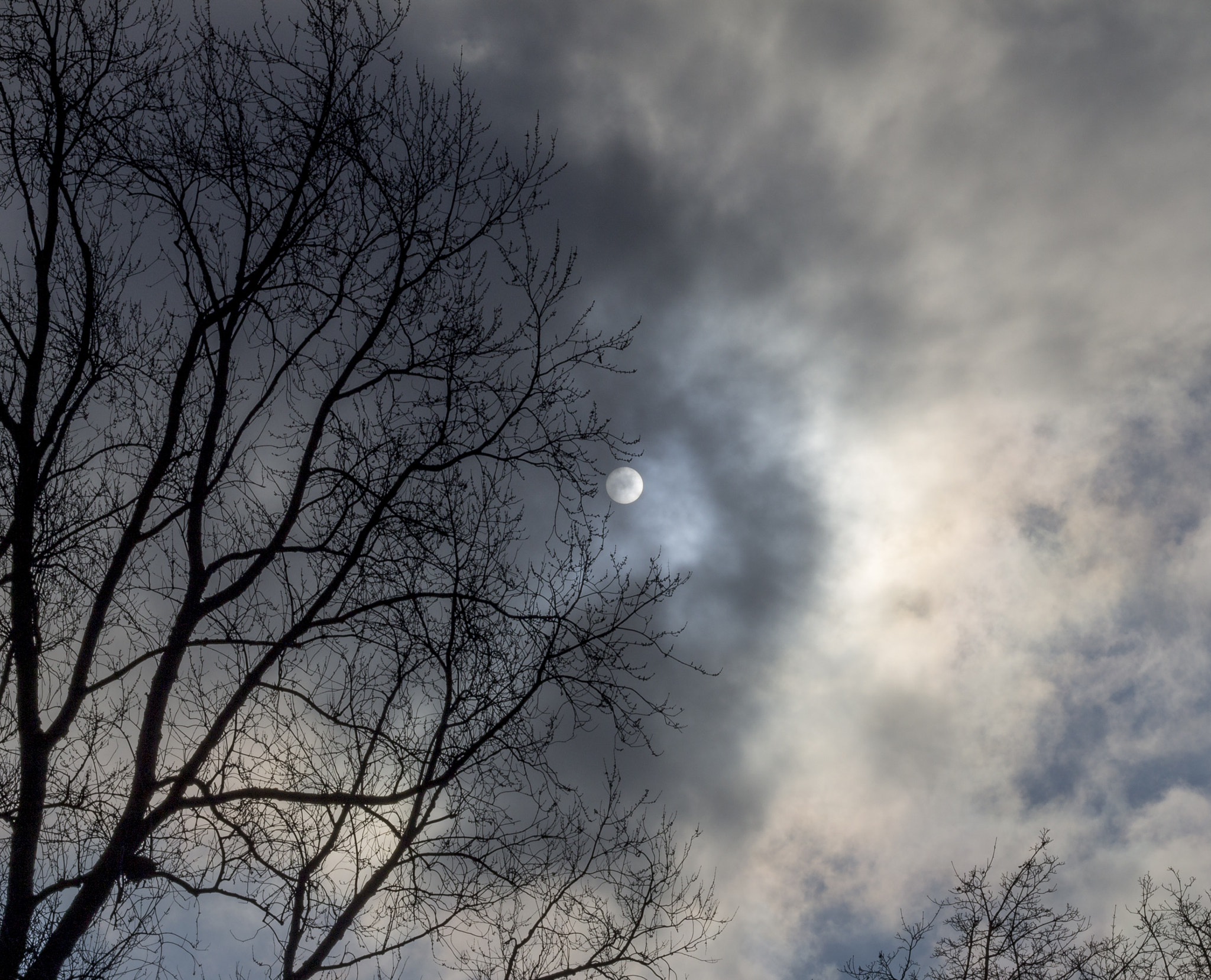 Canon EOS 1100D (EOS Rebel T3 / EOS Kiss X50) sample photo. Greyest of skies photography
